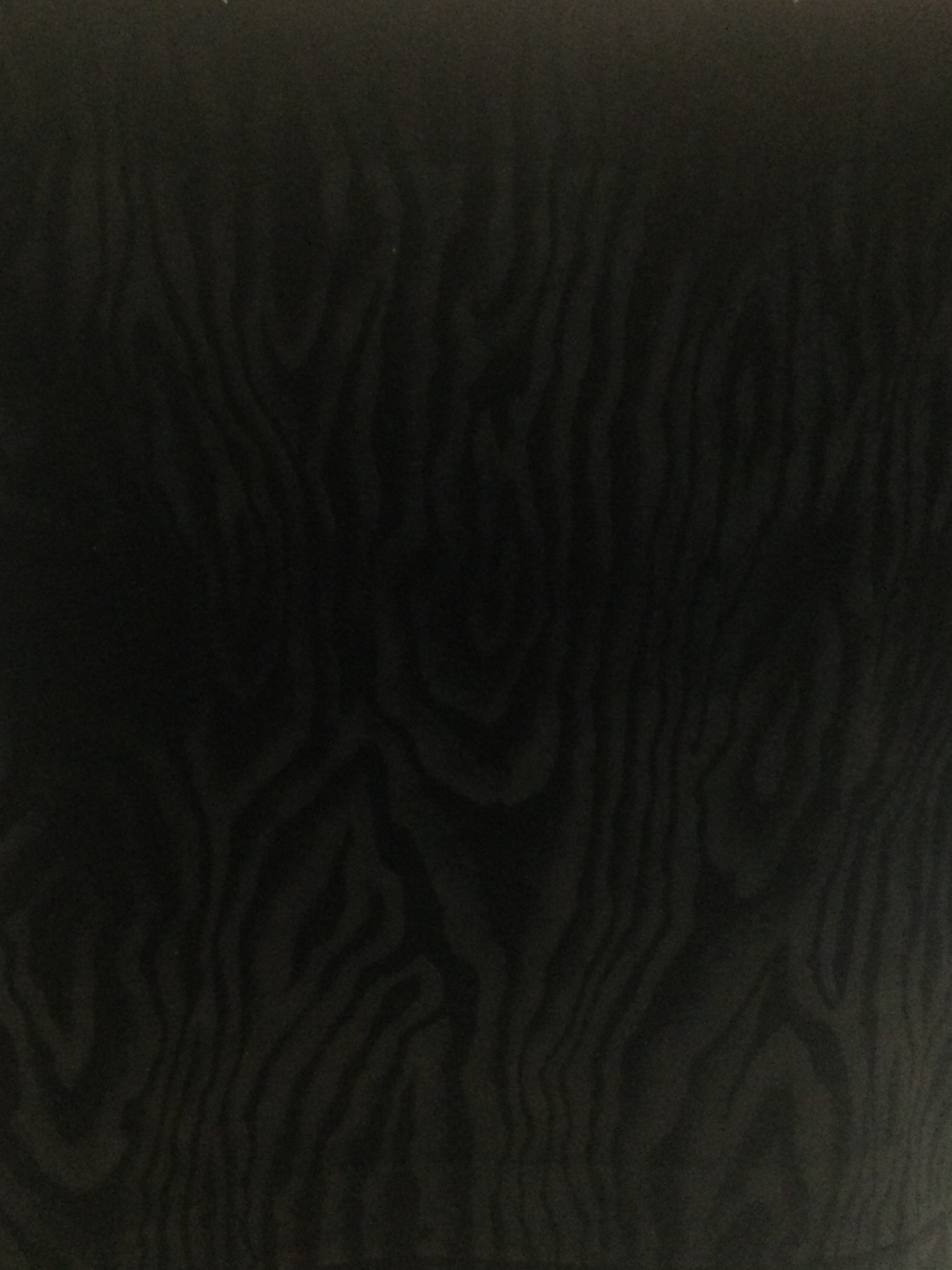 Embossed Rayon Velvet in Black w/ Moire' Pattern
