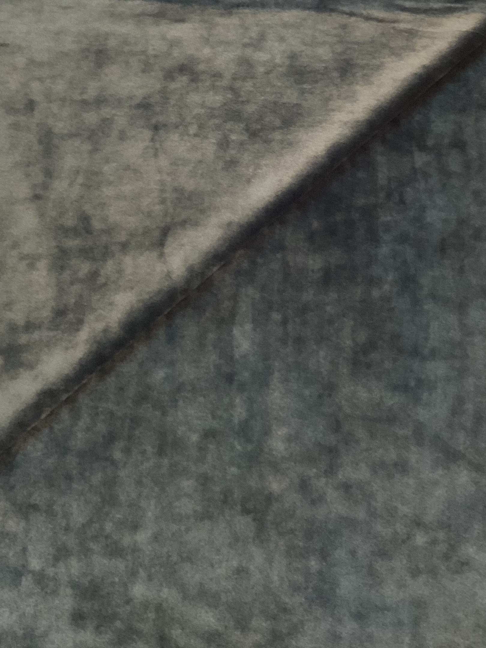 Terry Velour in Forest