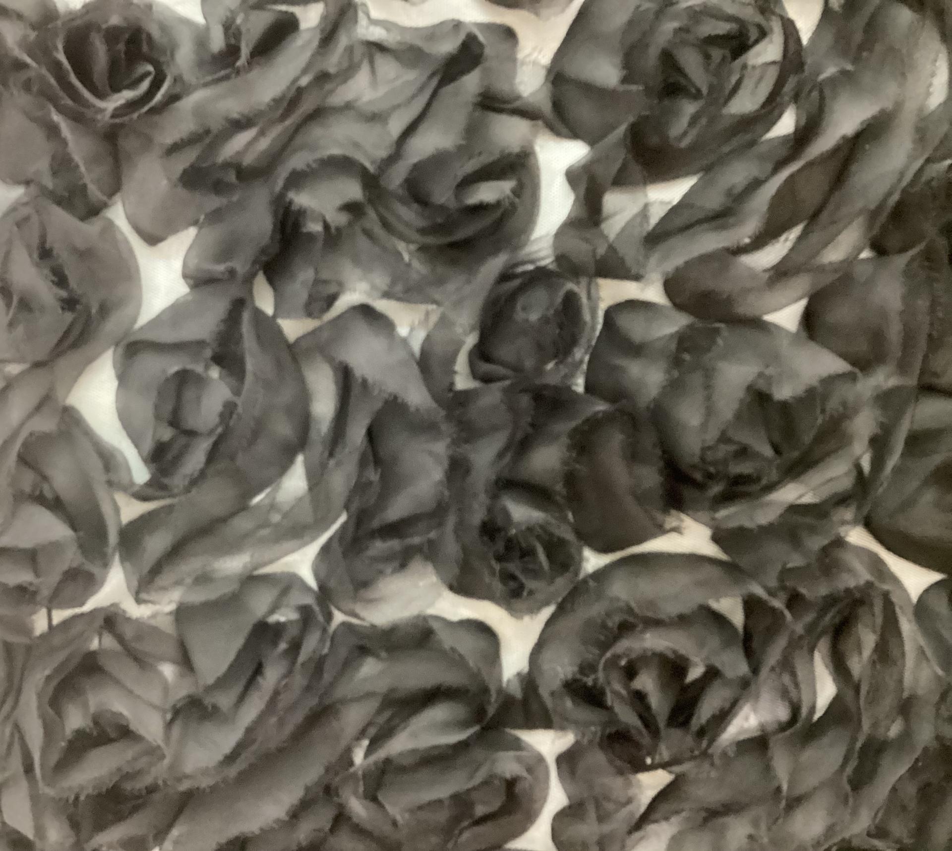 Novelty Silk Organza on Tulle in Black