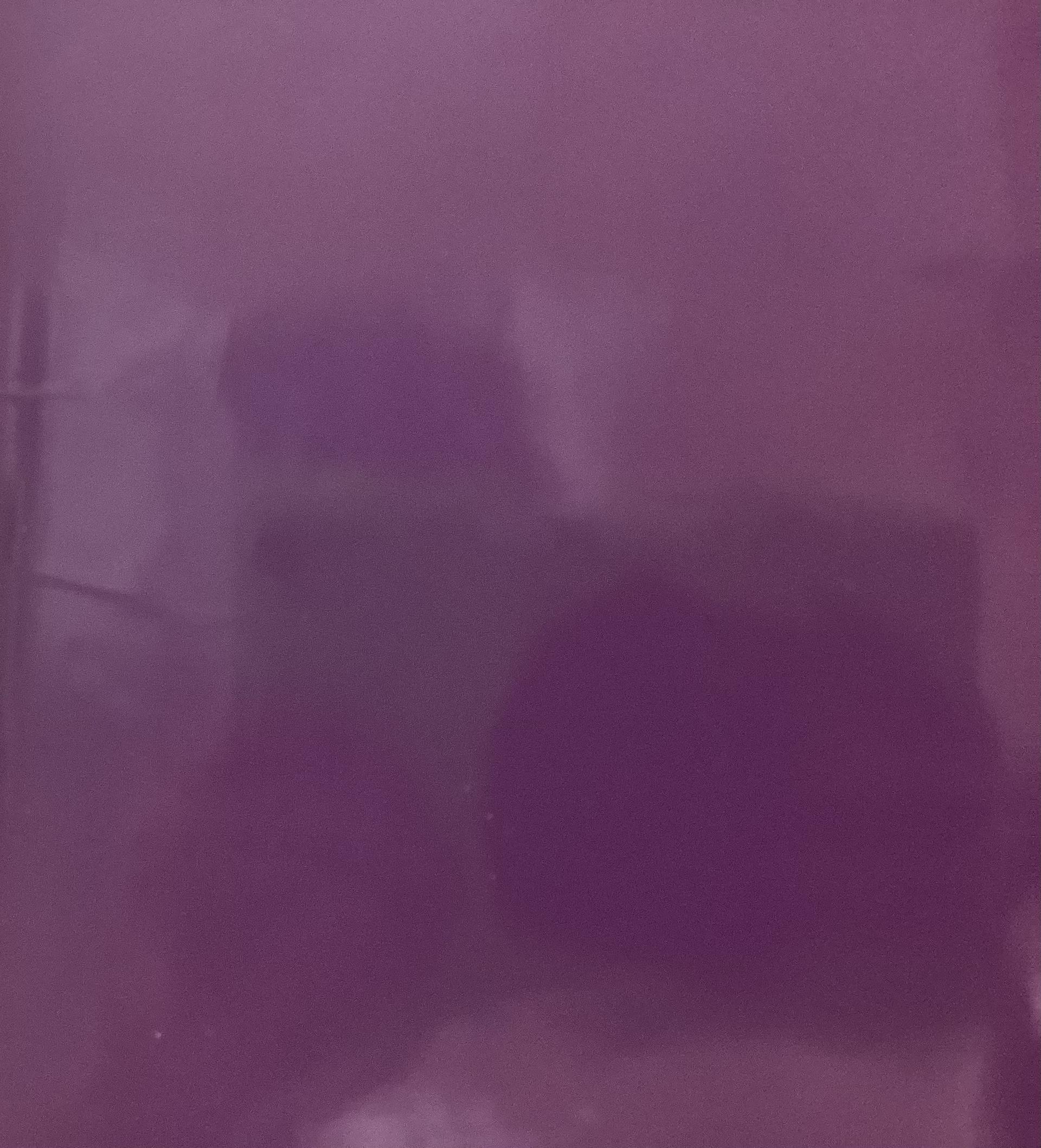 Japanese Coated Nylon Organza in Purple