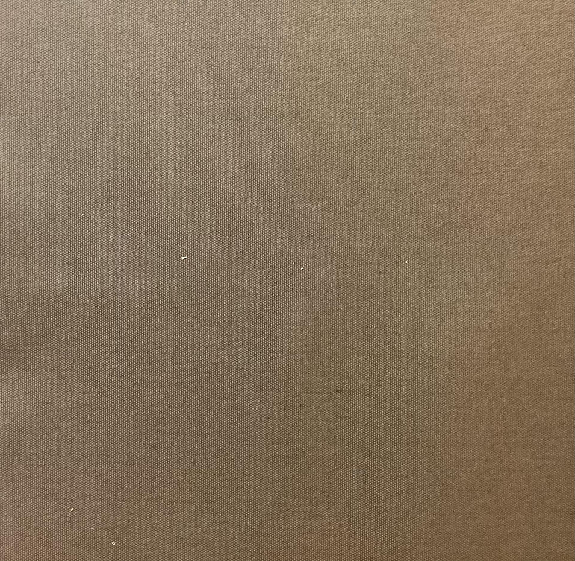 Rainwear Canvas in Mocha