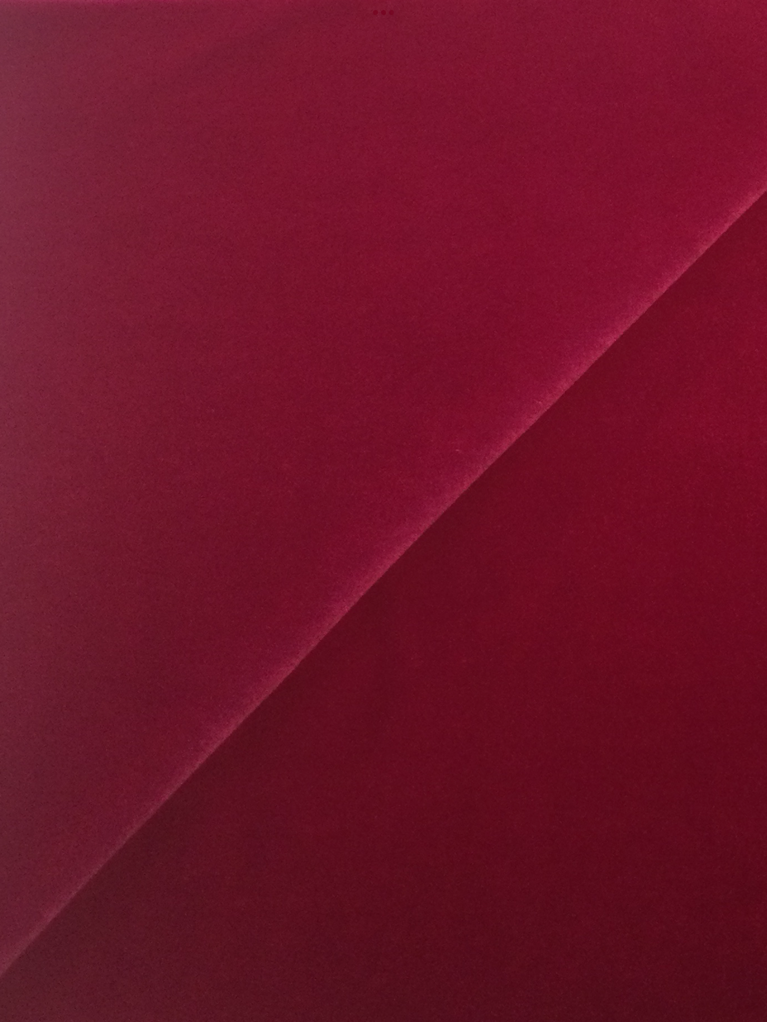 Cotton Lycra Velvet in Hot Fuchsia