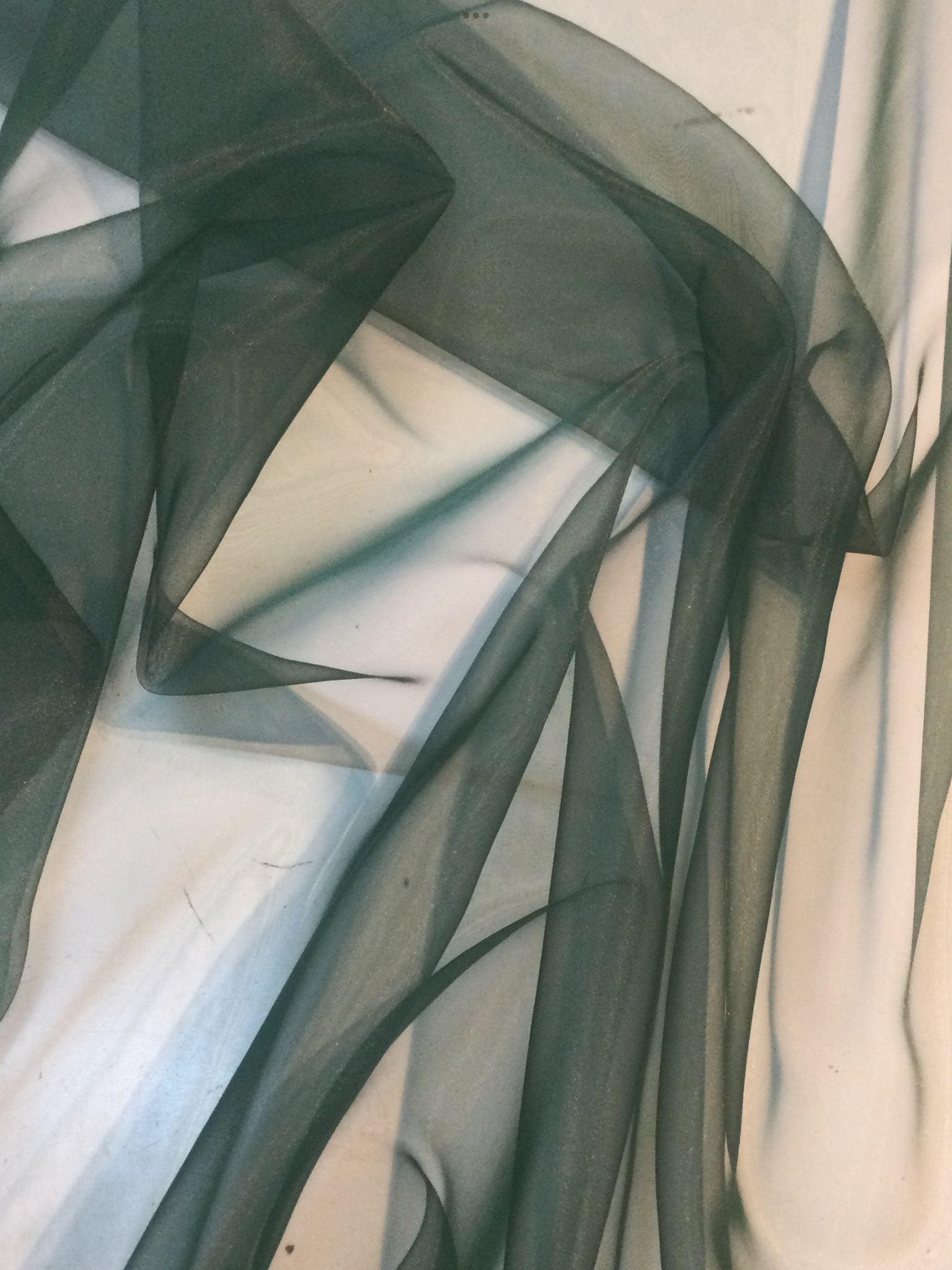 Polyester Organza