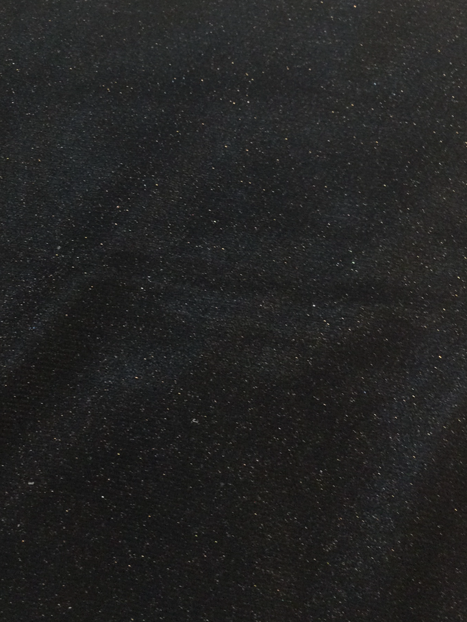 Metallic Tissue Knit in Black