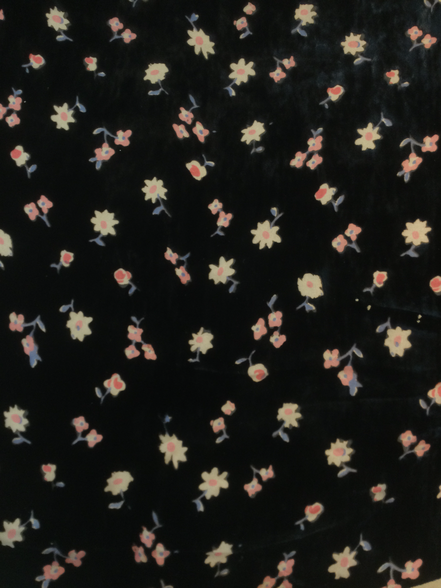 Burn-Out Velvet in Black w/ Petite Flowers