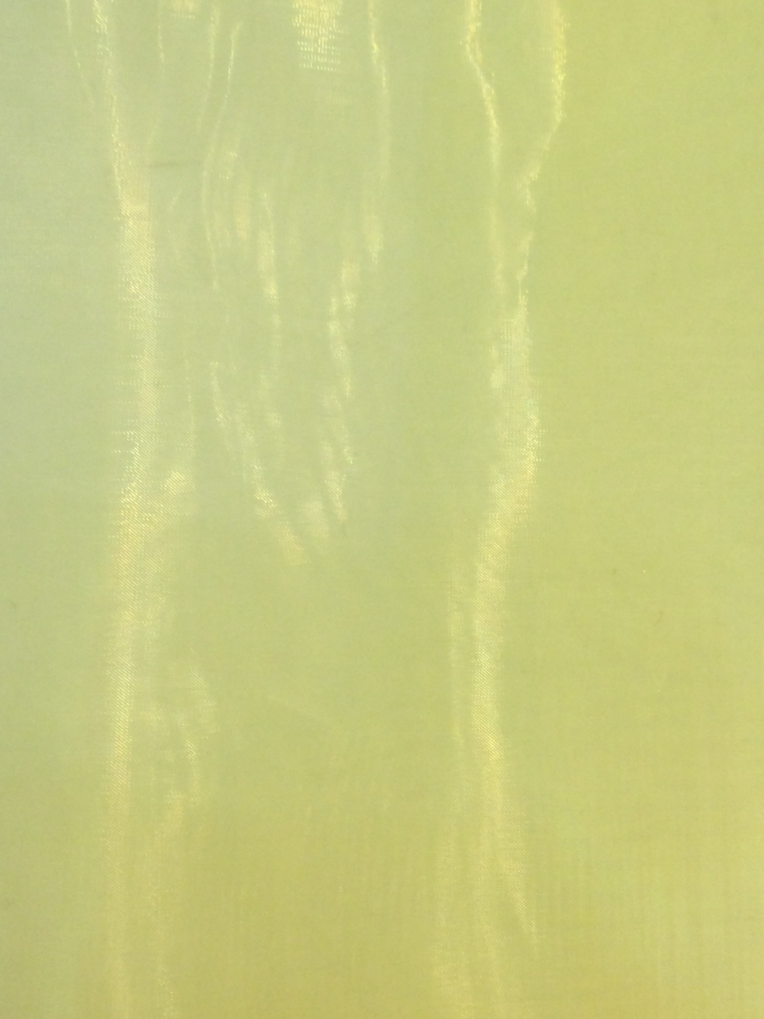 Japanese Polyester Extra Fine Organza in Yellow