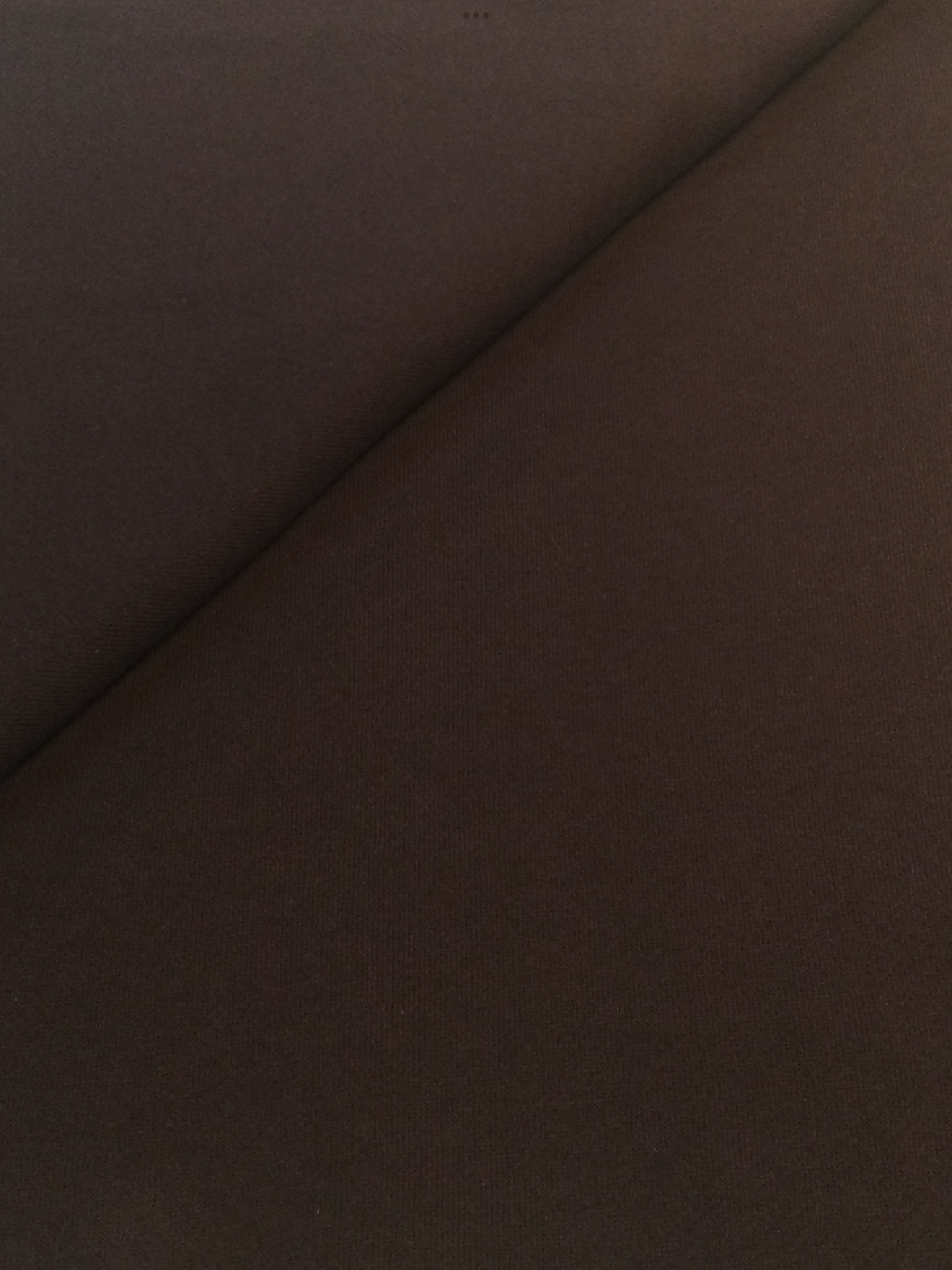 Japanese Cotton Sweatshirt Fleece in Chocolate