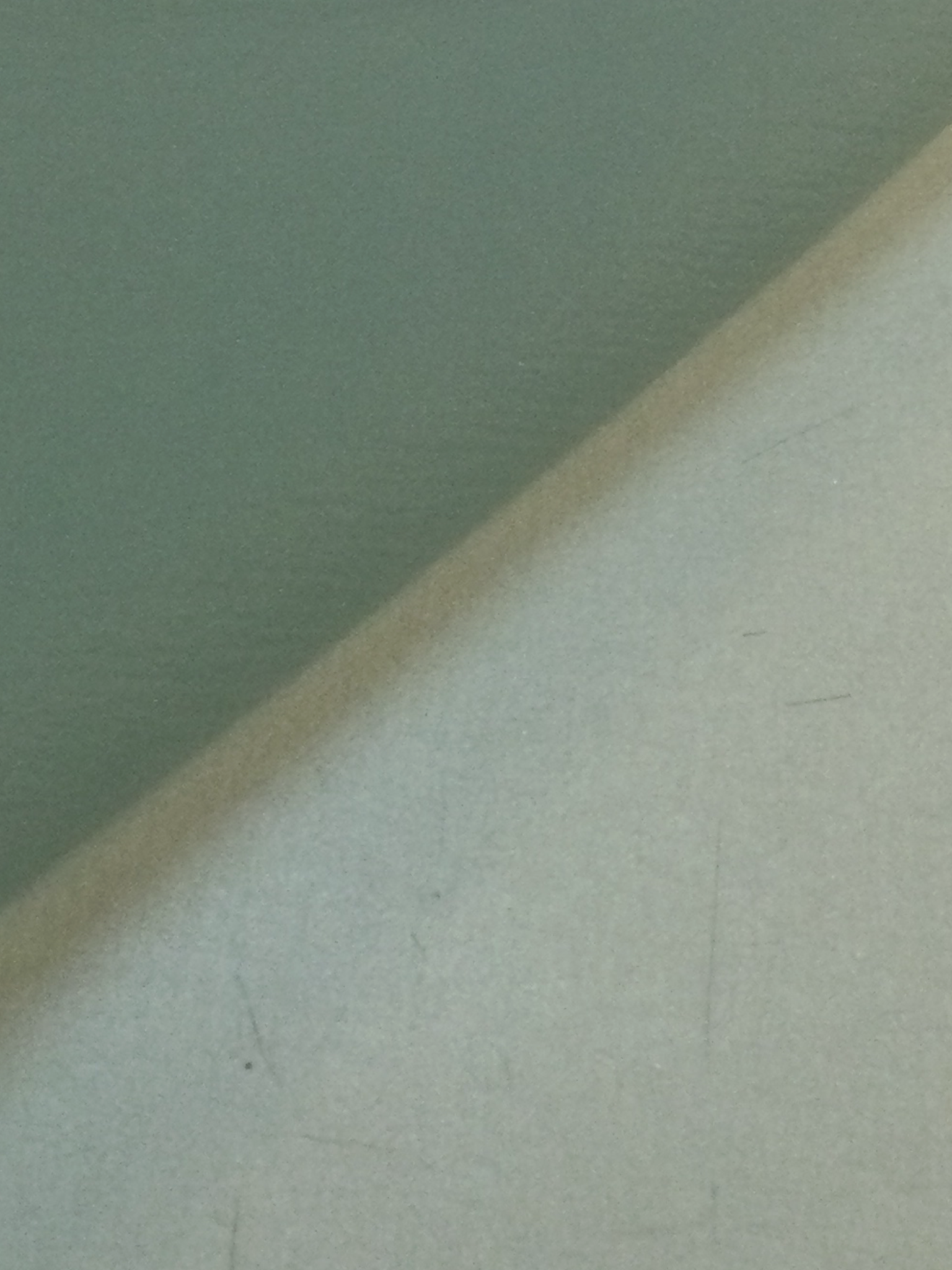 Japanese Pebbled Poly Organza in Sage