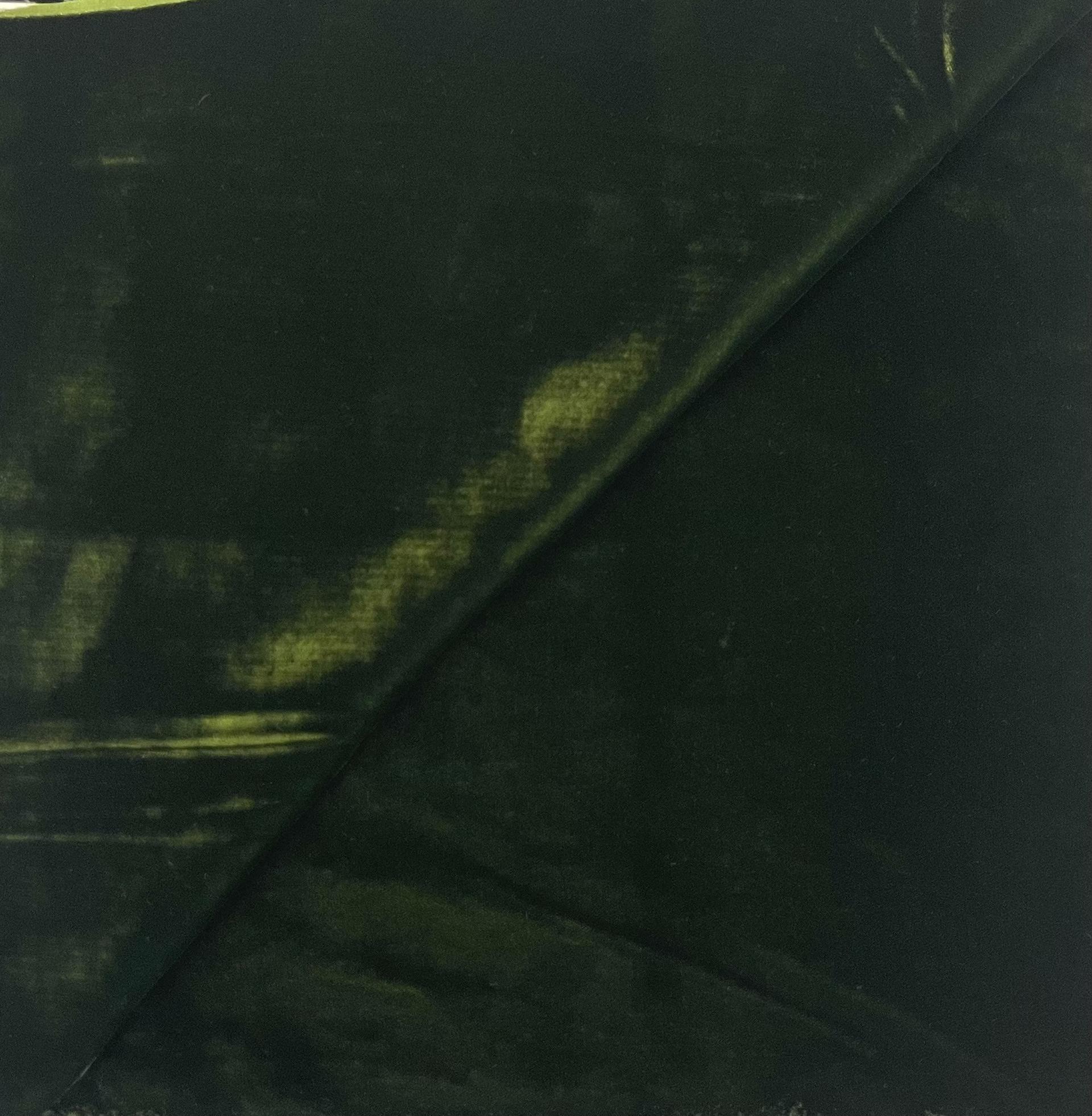 Rayon Velvet in Olive Green