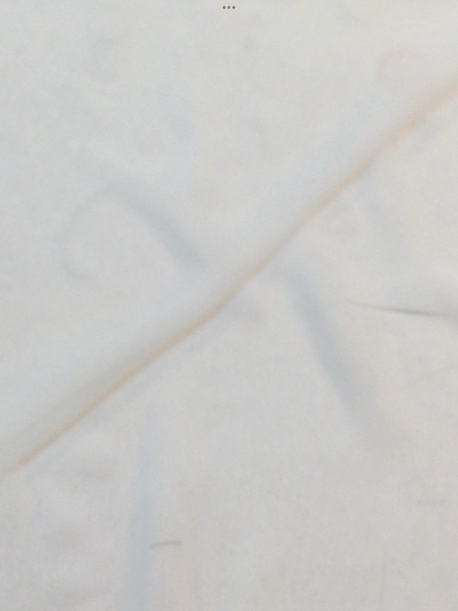 Japanese Polyester Chiffon in Off White