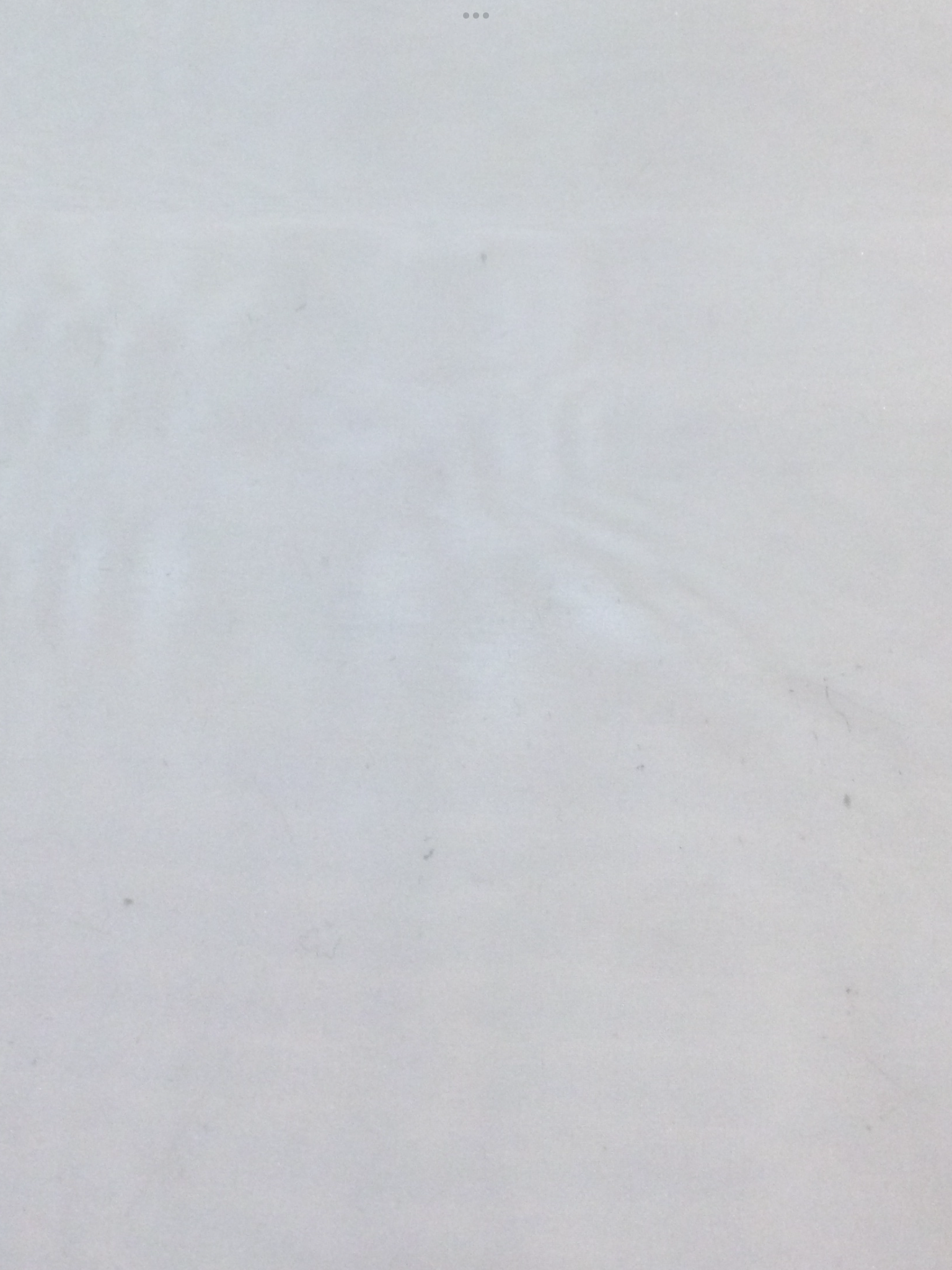 Polyester Organza in White