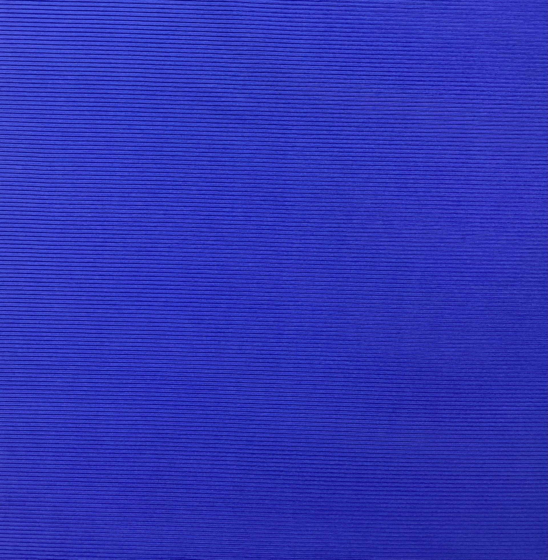 Polyester & Nylon Stretch Rib Knit In Blue Sapphire