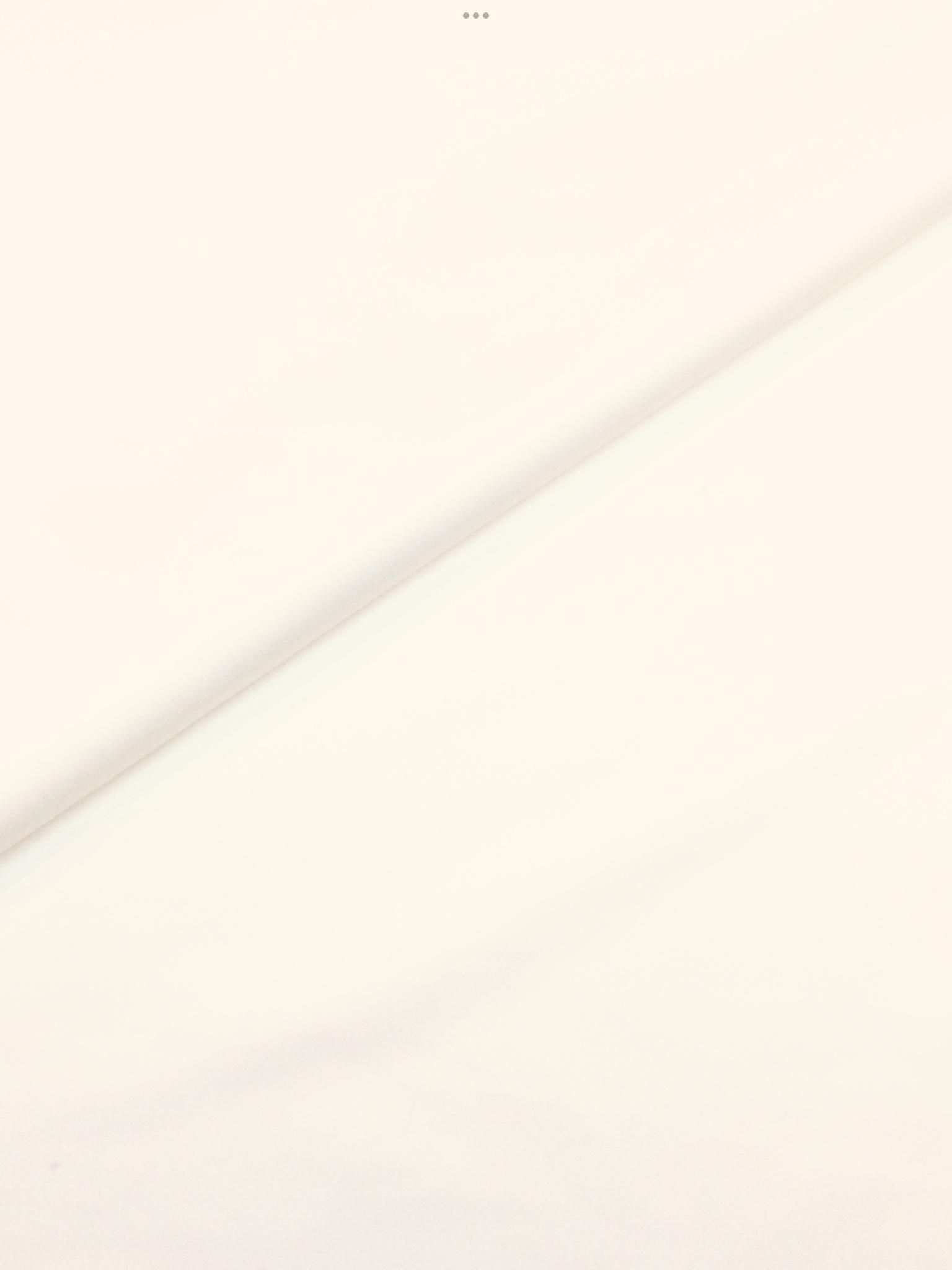 Silk & Rayon Duchesses Satin in New Alabaster