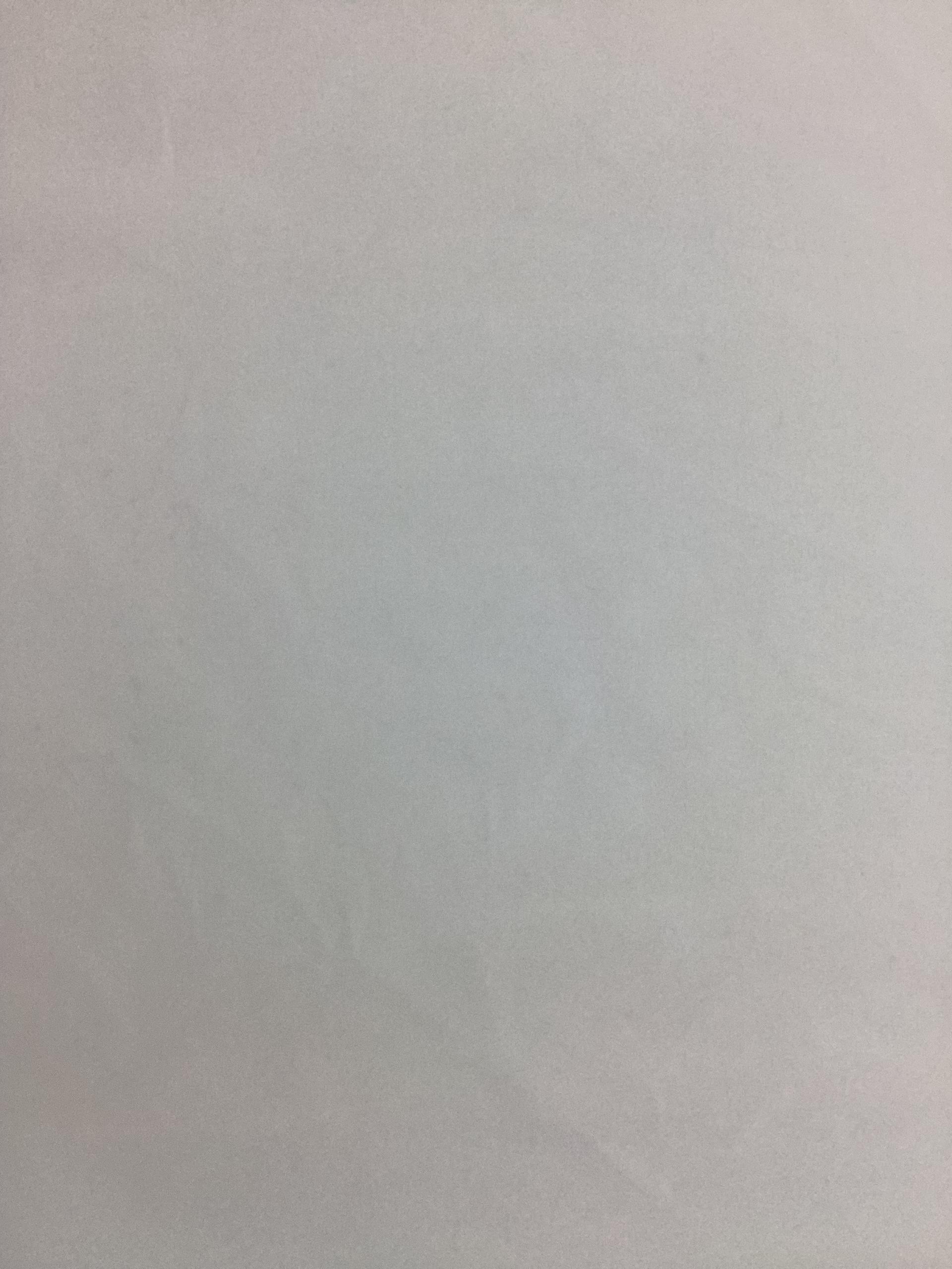 Polyester Satin Face Organza in Diamond White