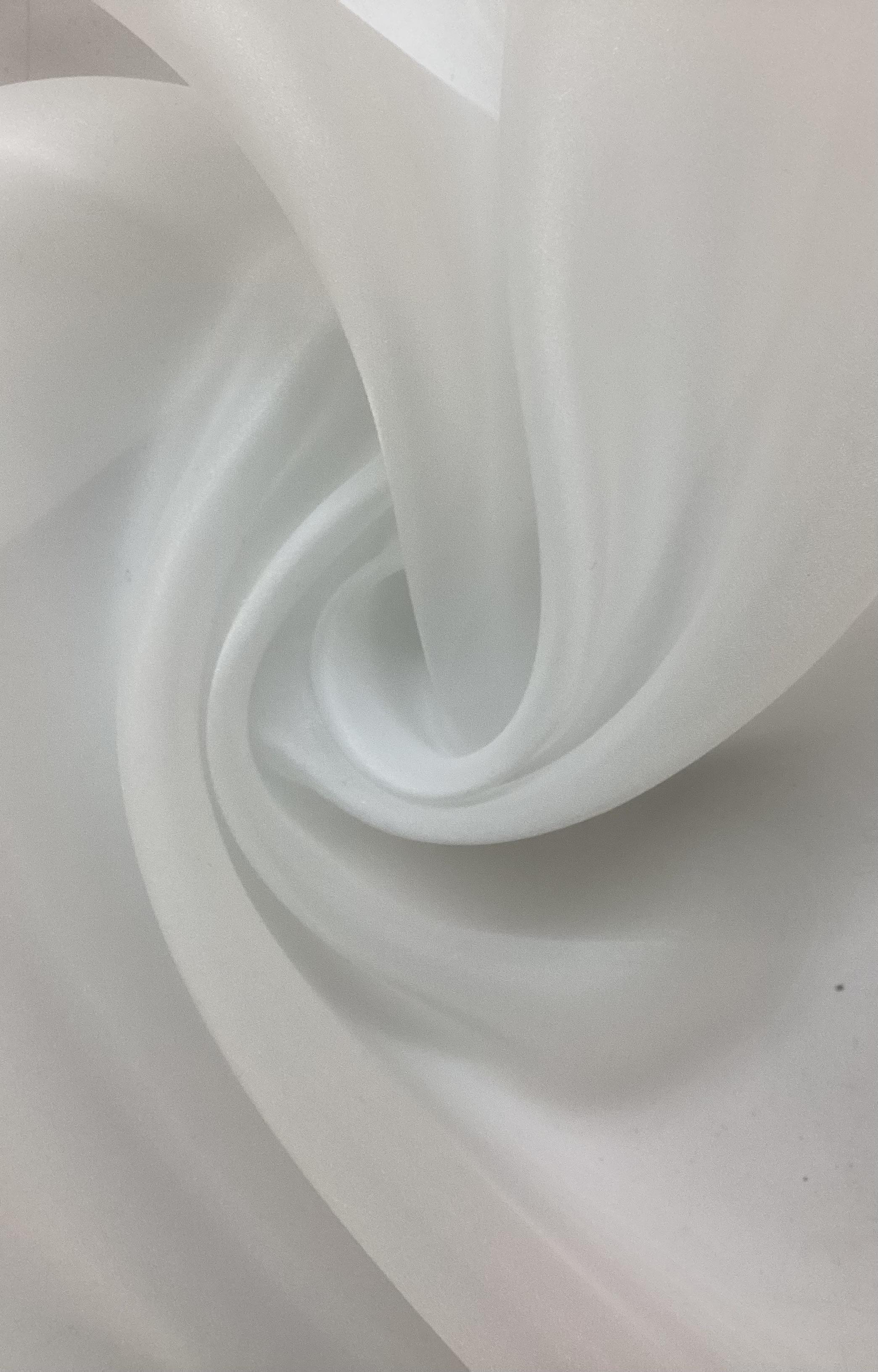 Polyester Satin Face Organza in Diamond White