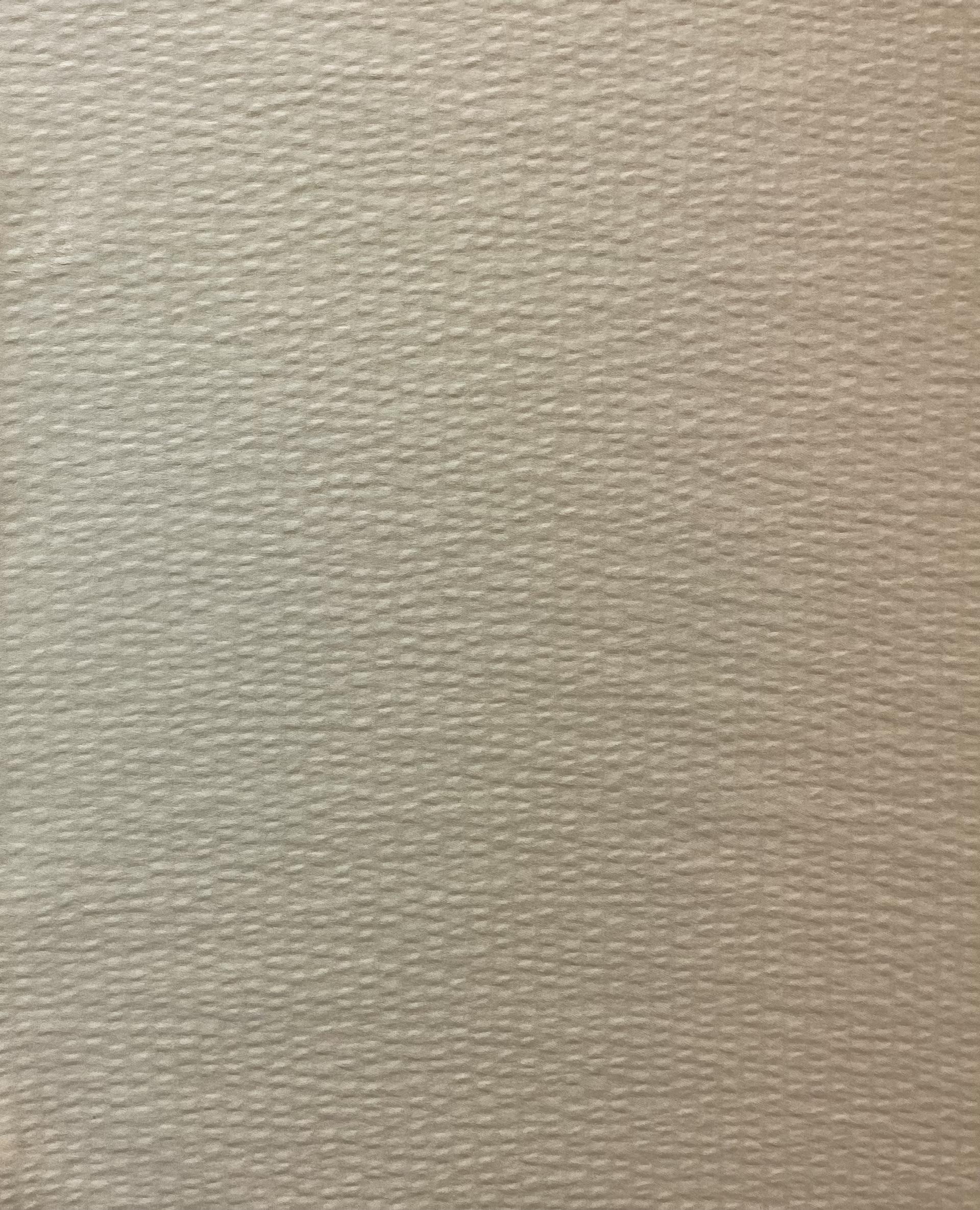 Hammered Silk Satin in Ivory