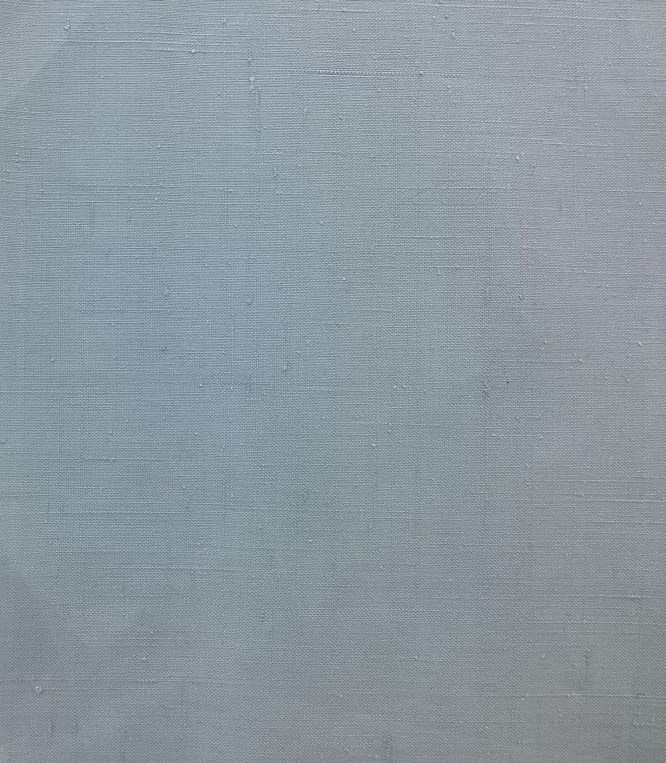 Made in Italy 100% Silk Duppioni in Sky