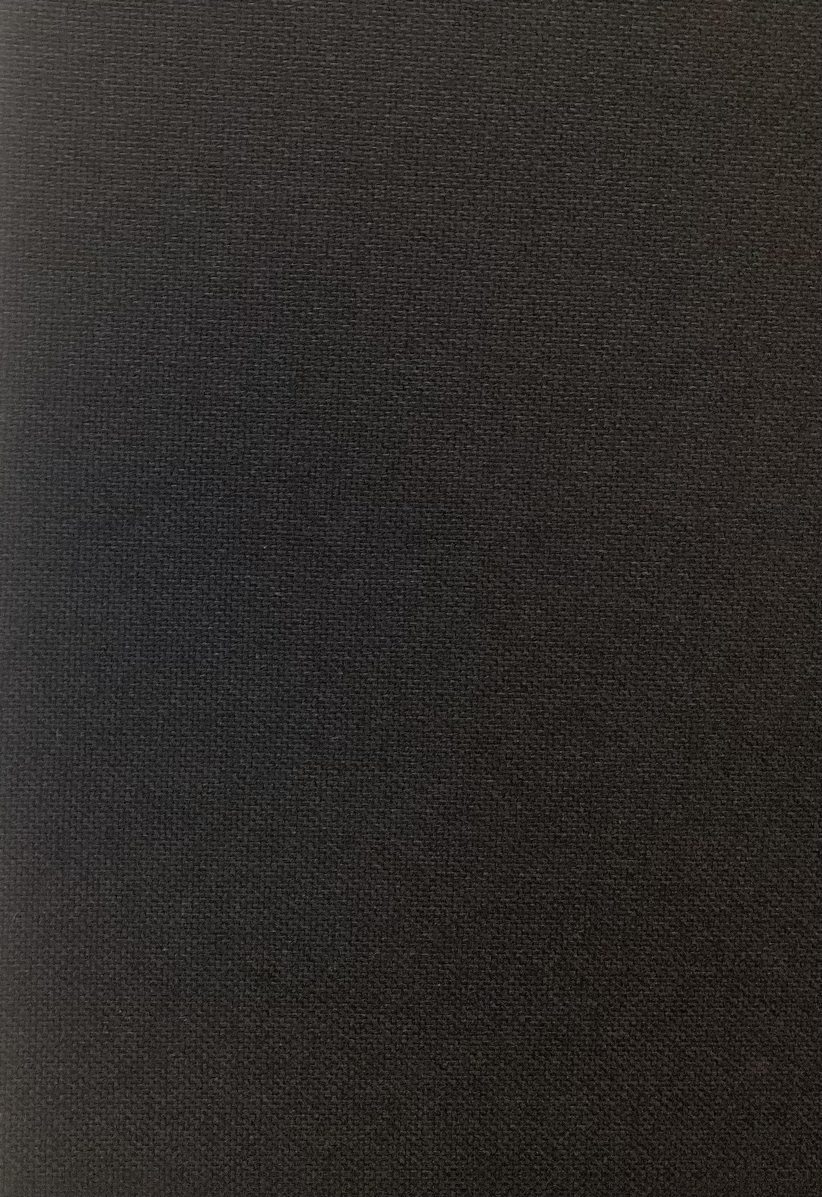 Japanese Wool Canvas Paper Finish In Jet Black