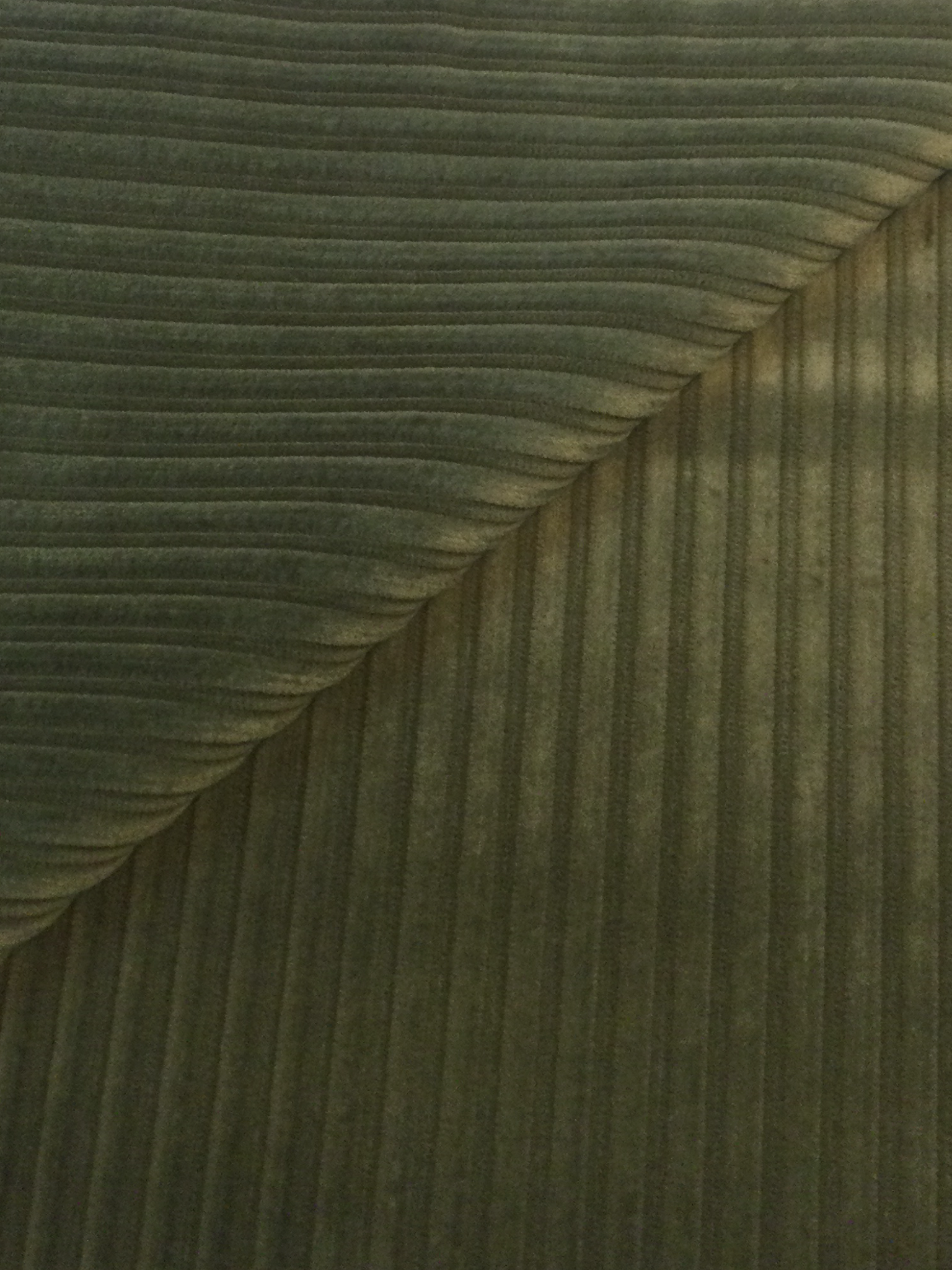 Made in Italy Wide Wale Corduroy in Moss