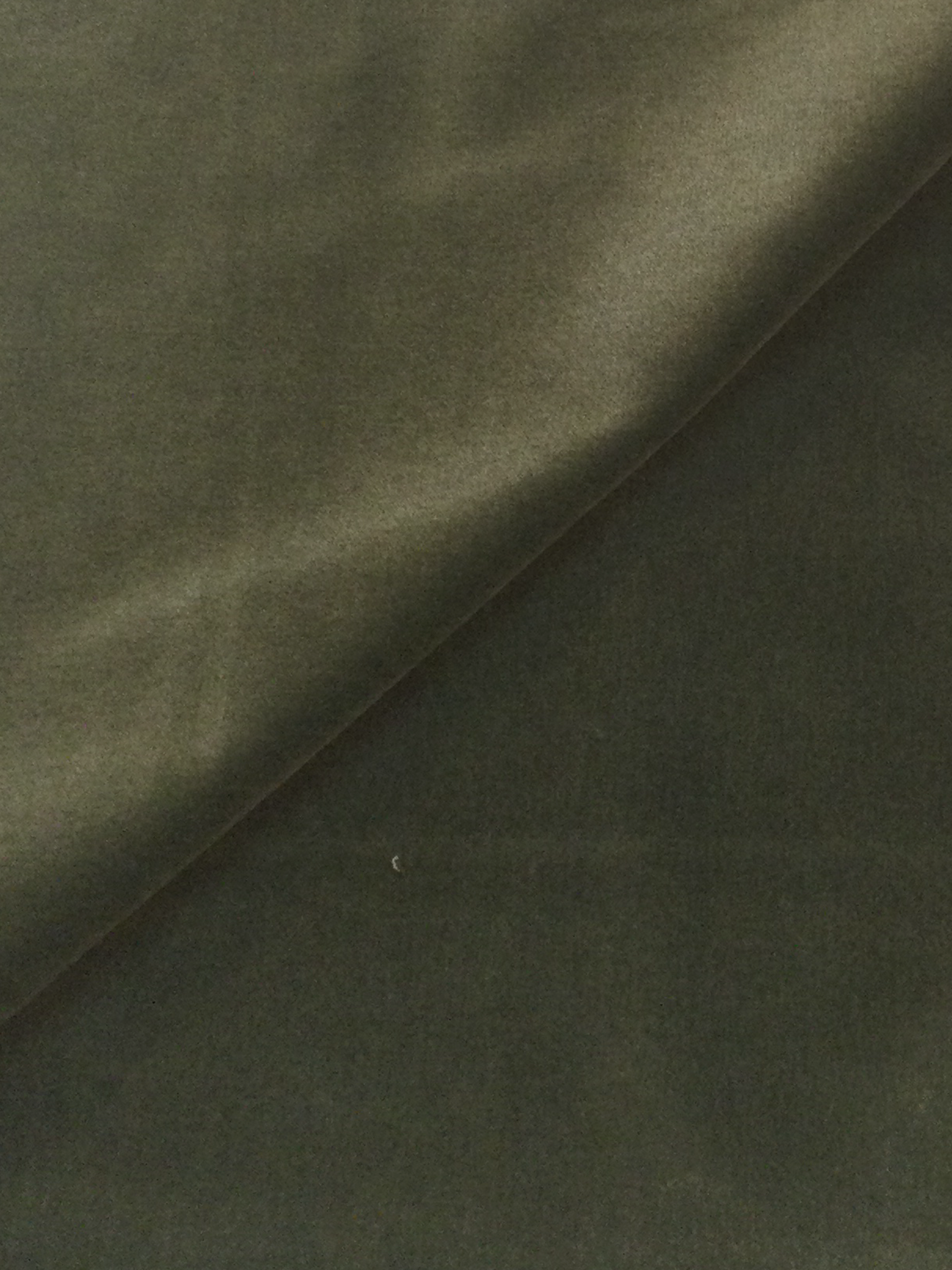 Made in Italy Cotton Velvet in Moss