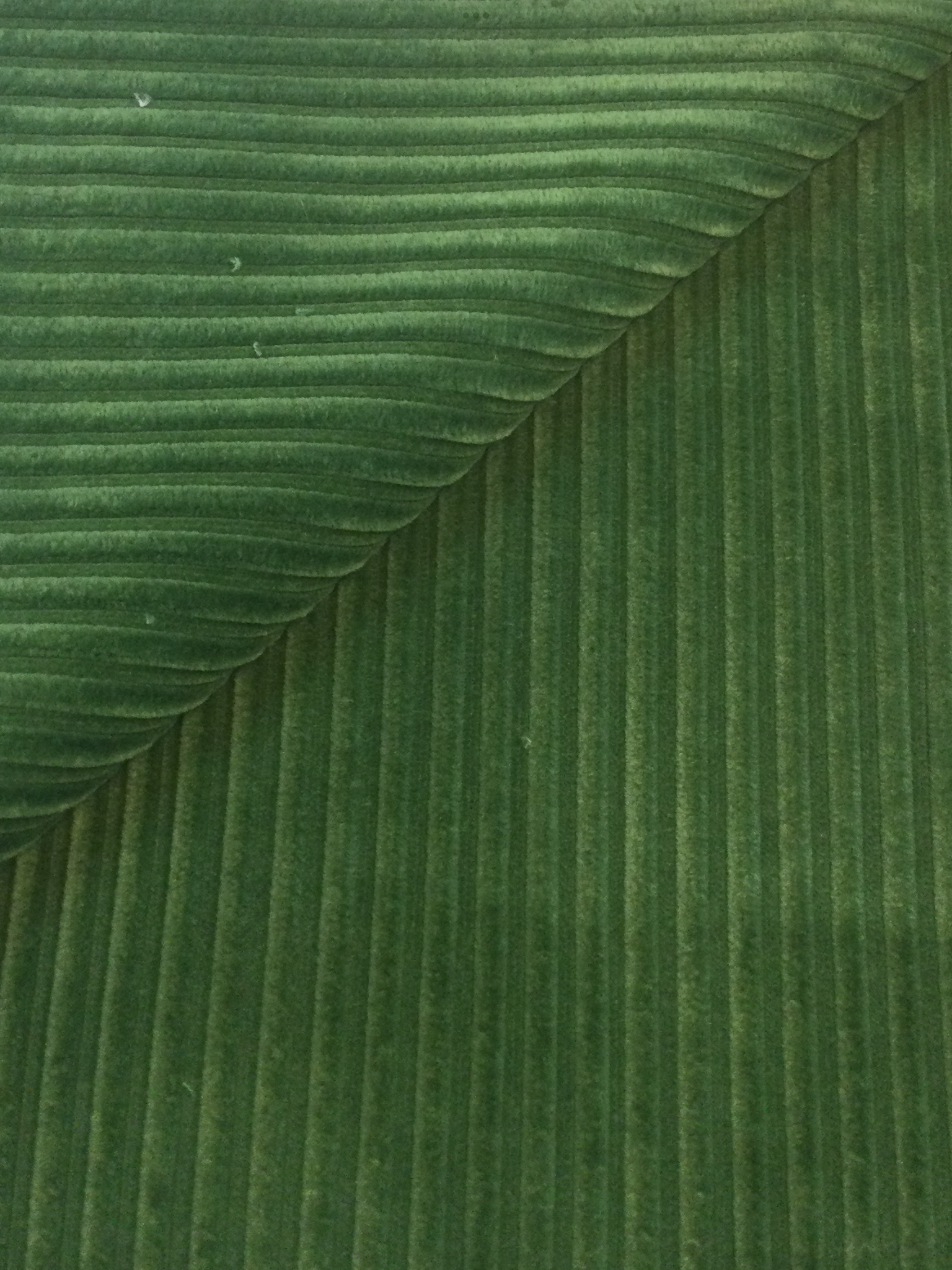 Made in Italy Wide Wale Corduroy