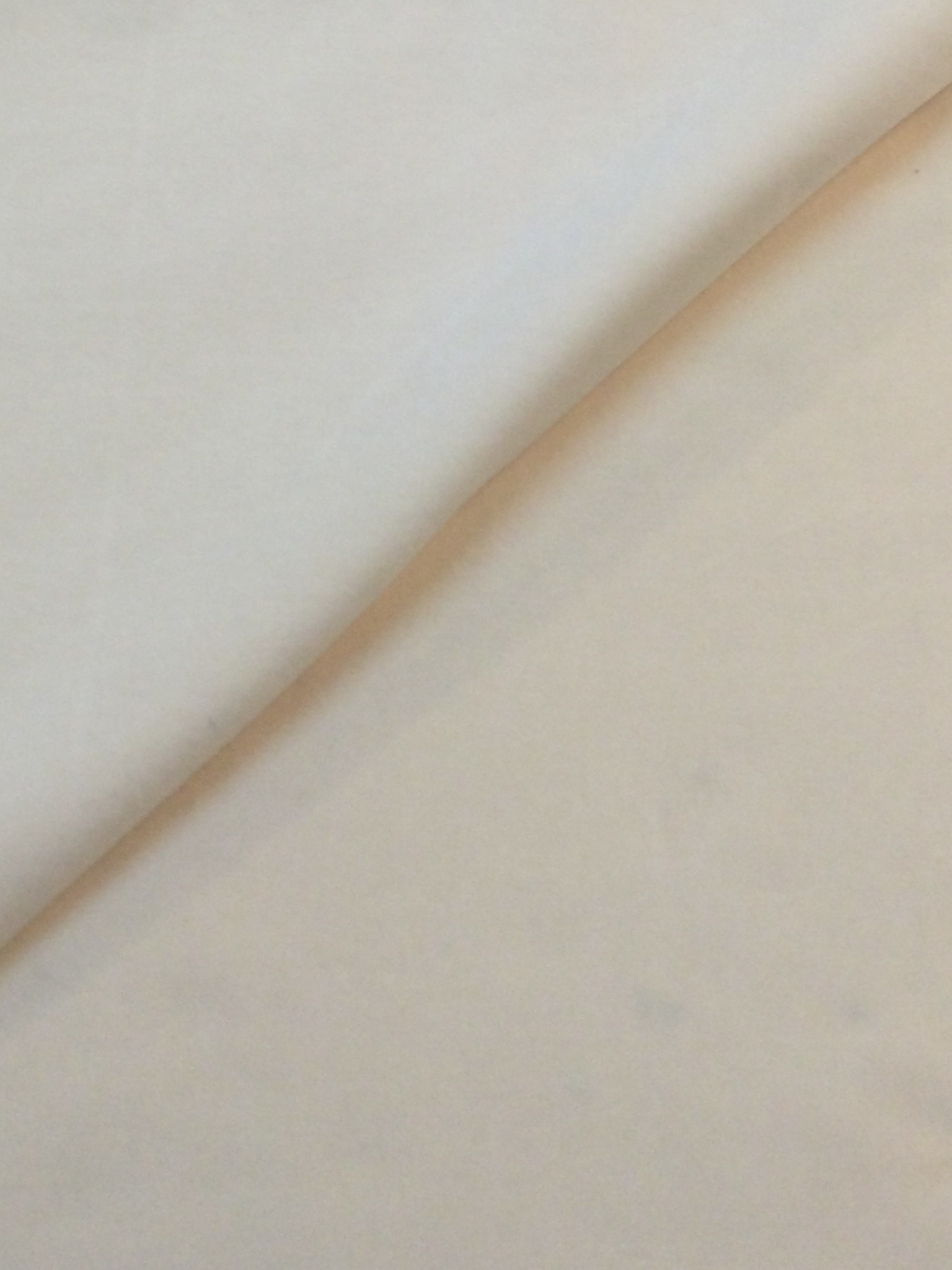 Made in Italy Cotton Velvet in Cream