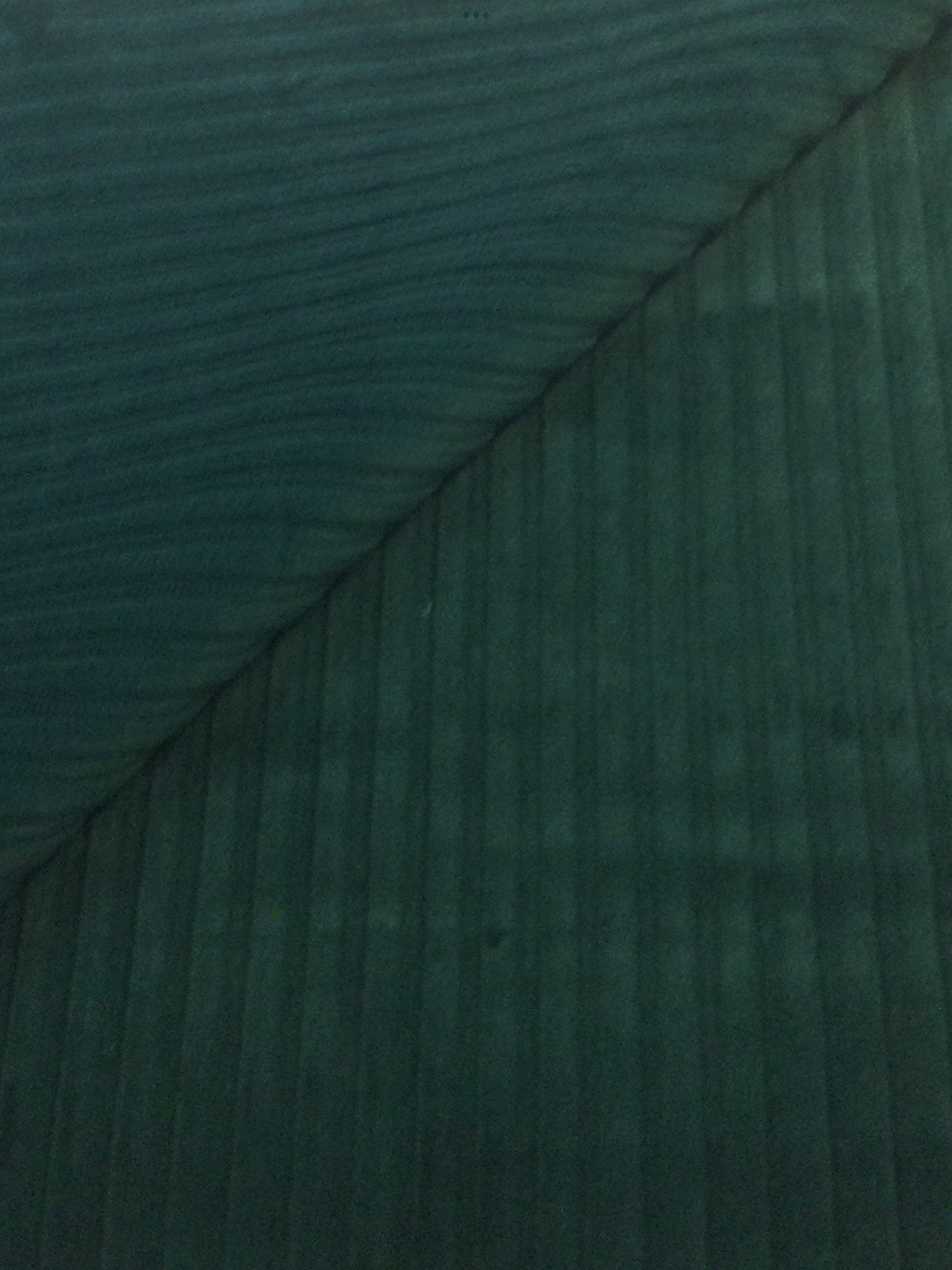 Made in Italy Wide Wale Corduroy