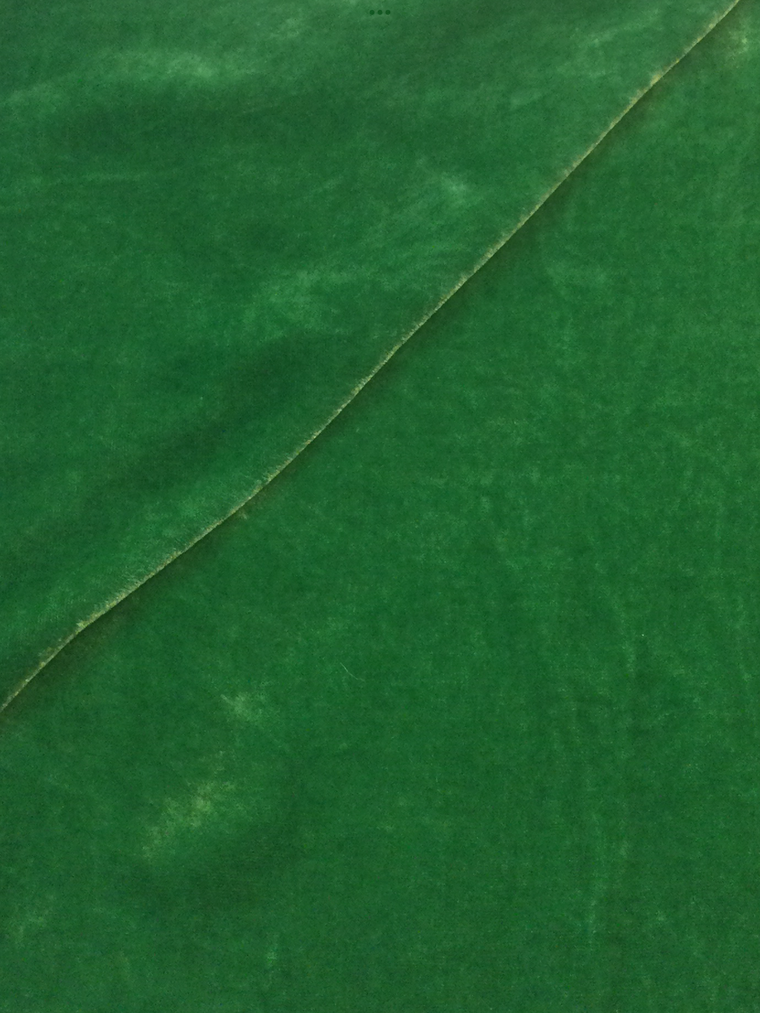 Silk Rayon Velvet in Bright Green