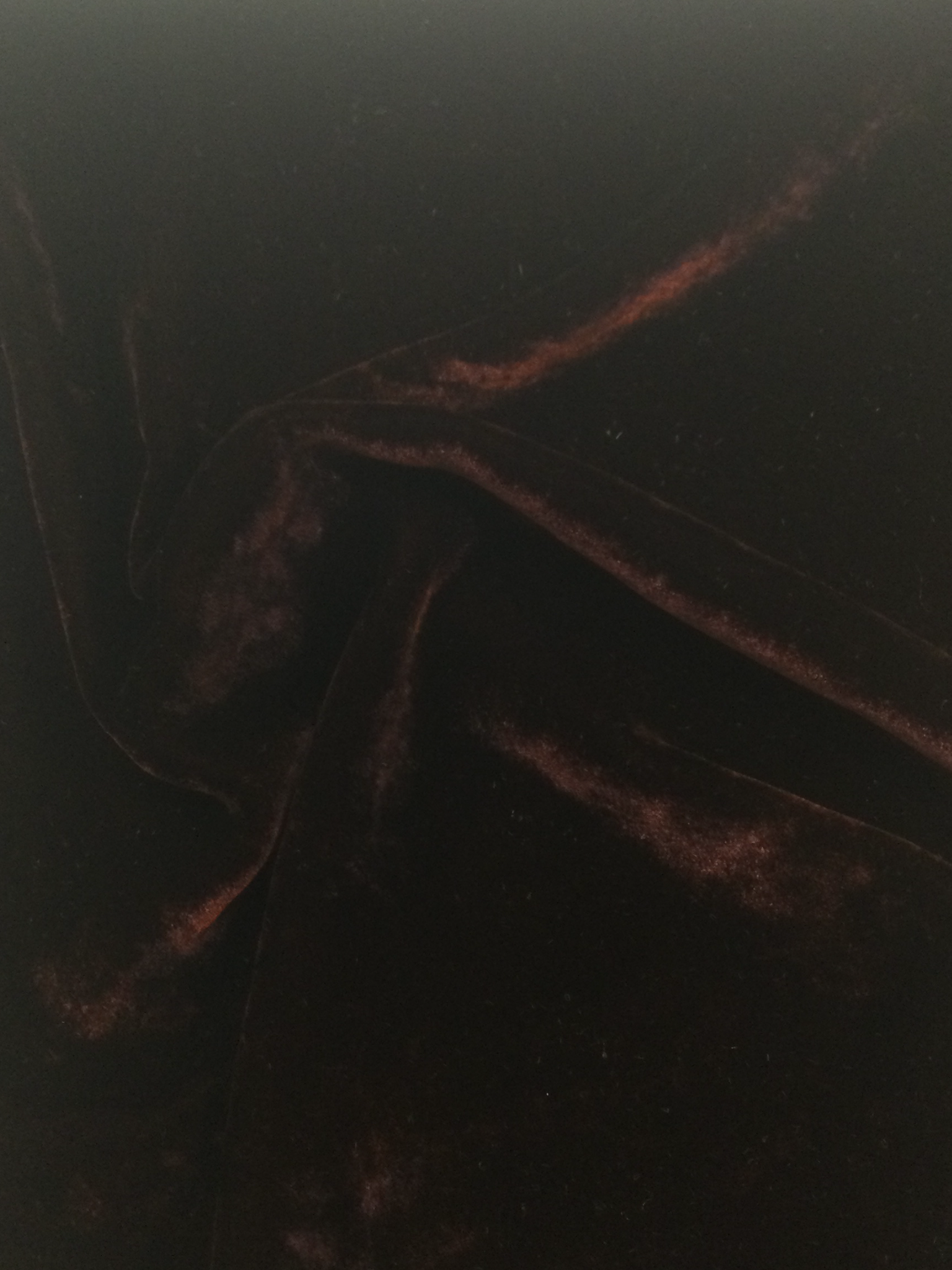 Made in Italy Silk/Rayon Velvet in Maroon