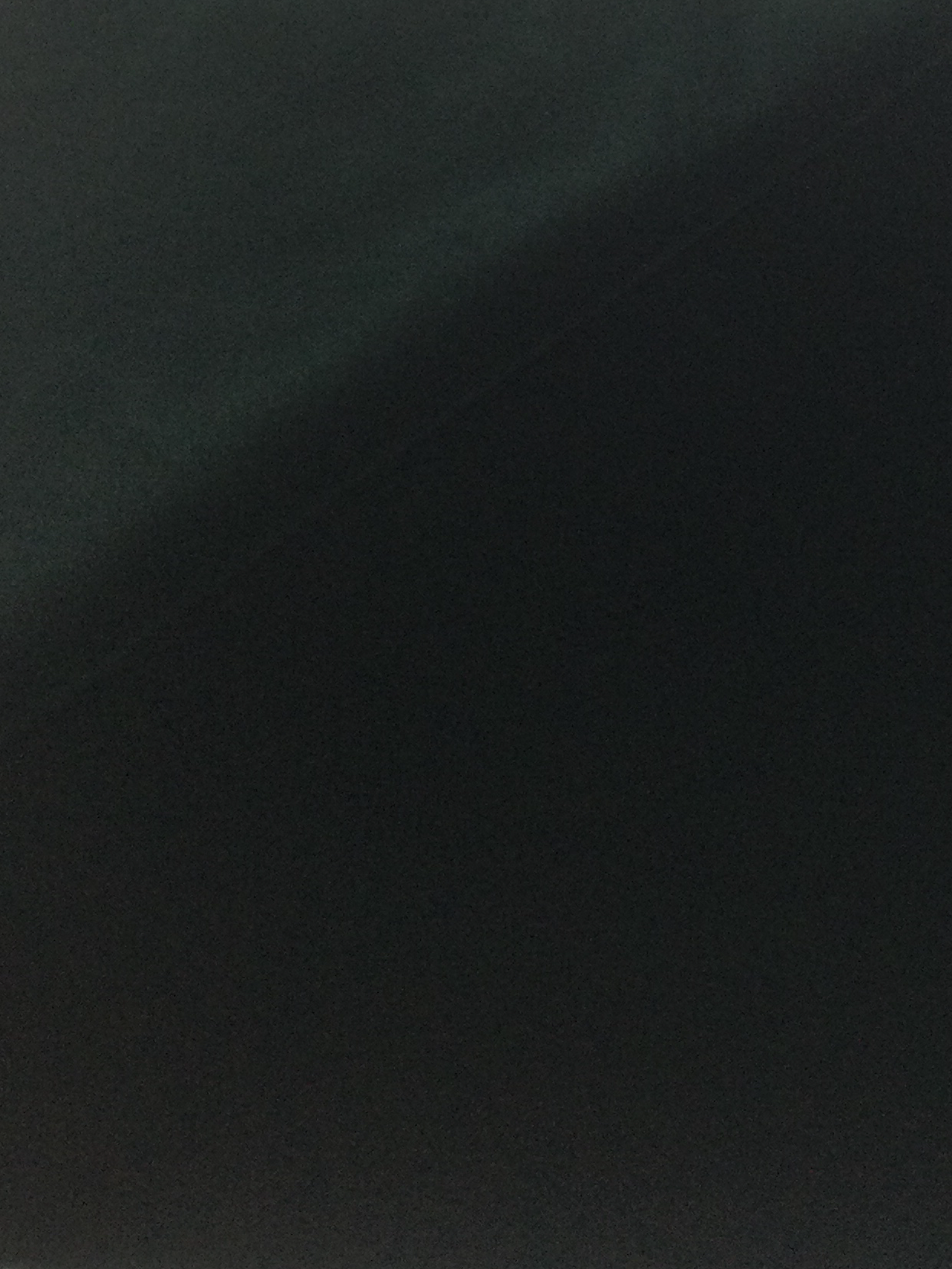 Made in Italy Cotton Velvet in Dark Pine