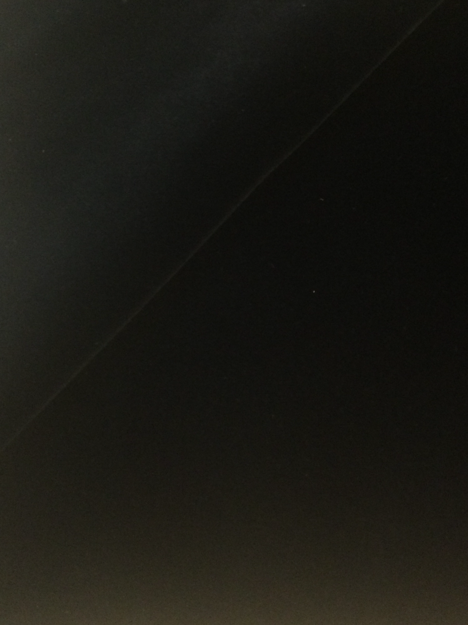 Made in Italy Cotton Velvet in Dark Marine