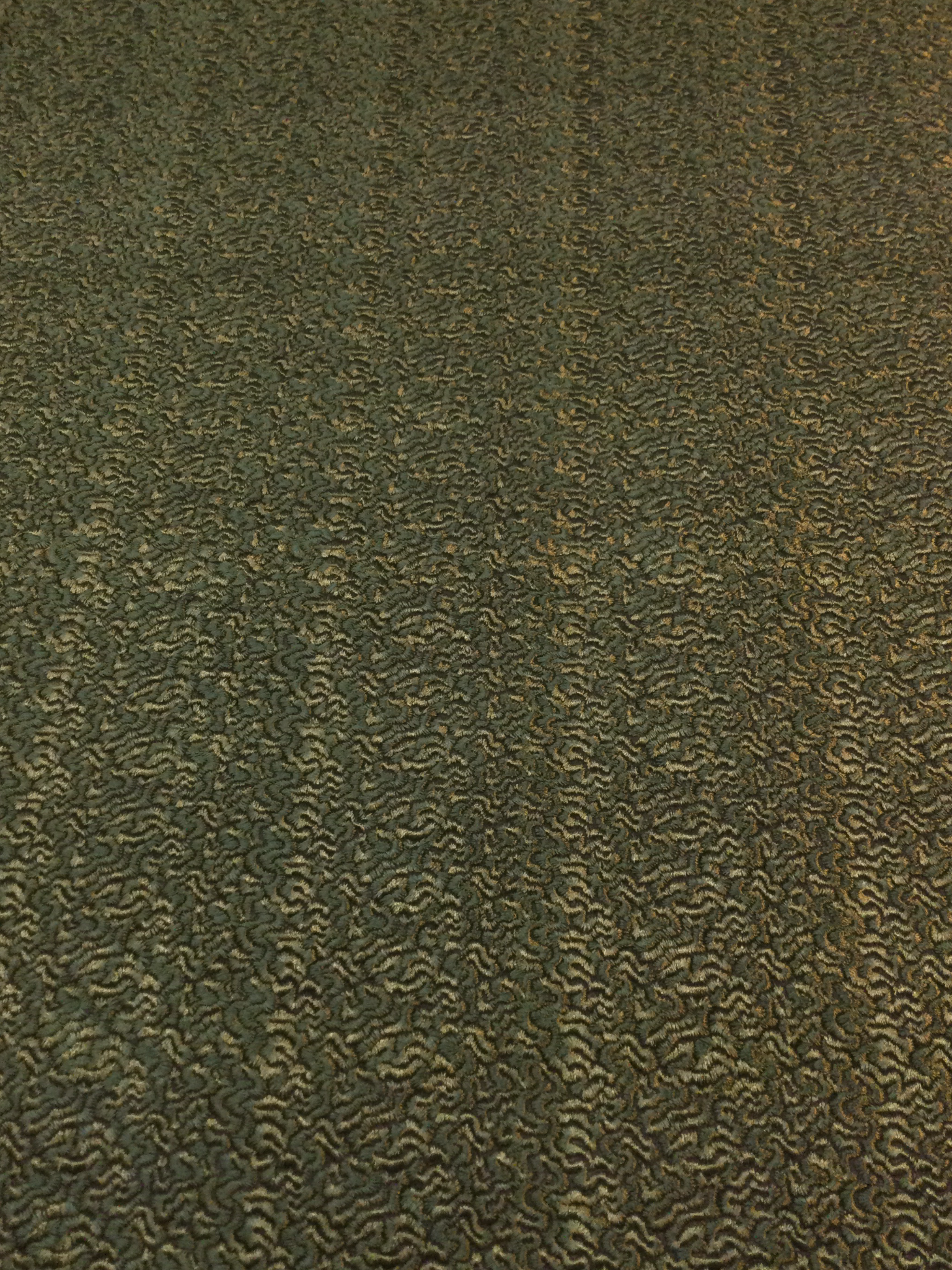 Embroidered Chiffon in an Astrakhan Pattern in Moss