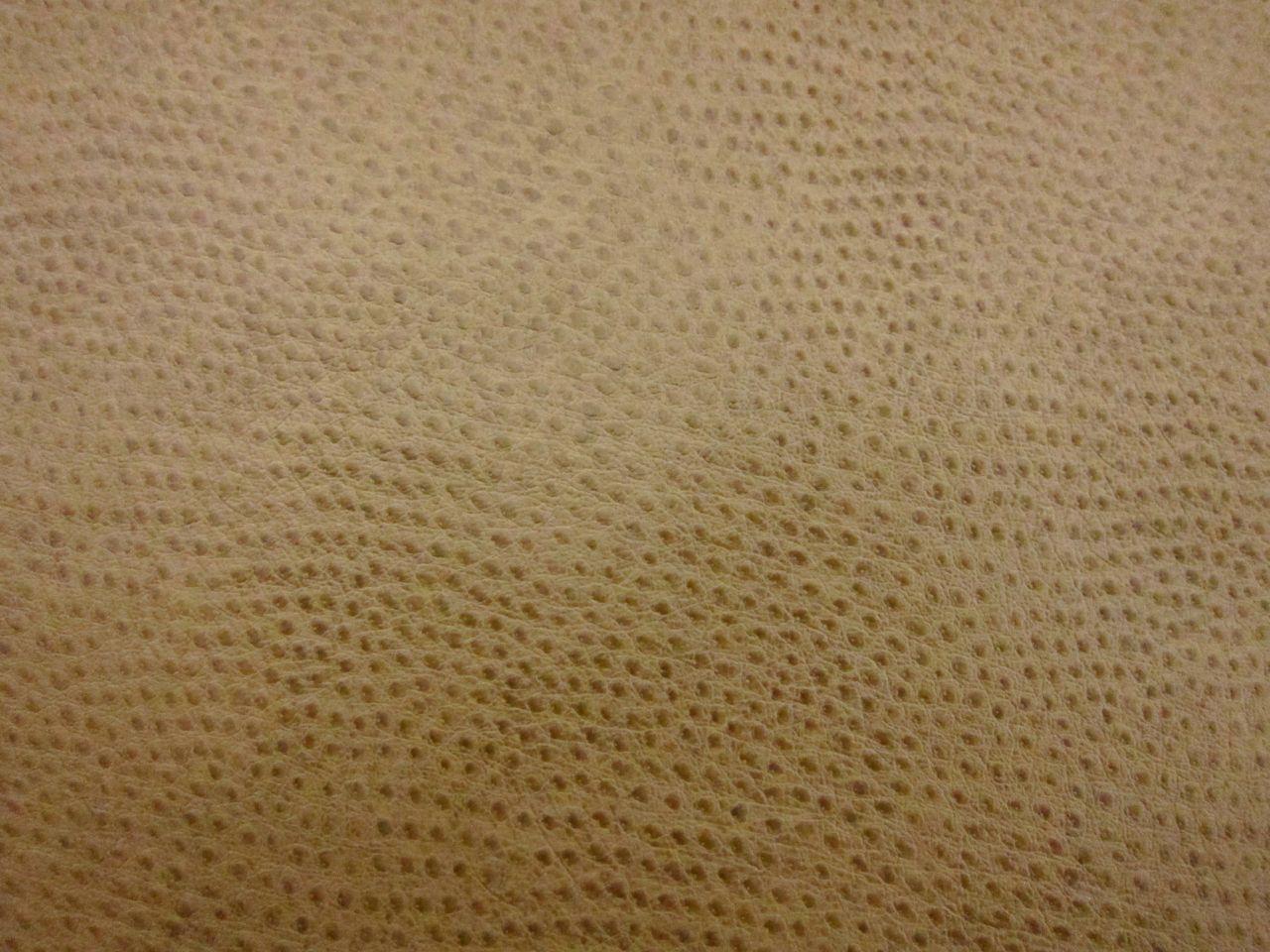 Ostrich Faux Leather in Taupe0