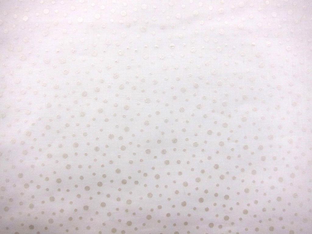 Cotton Broadcloth Print0