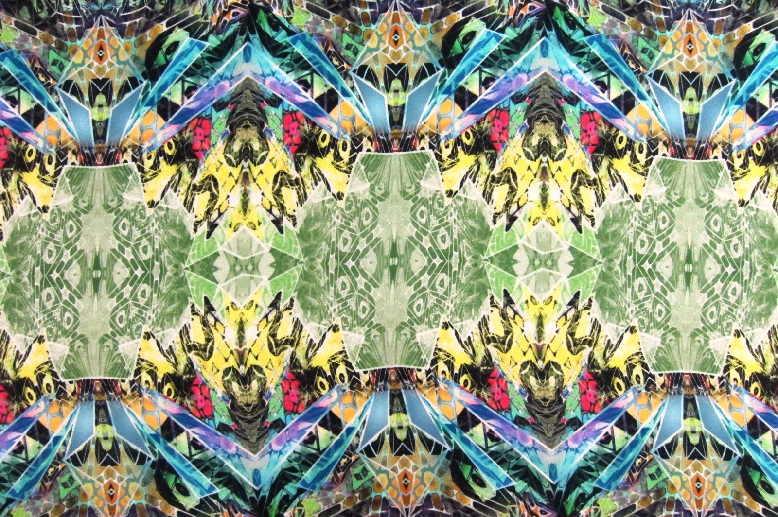 Printed Silk Charmeuse0