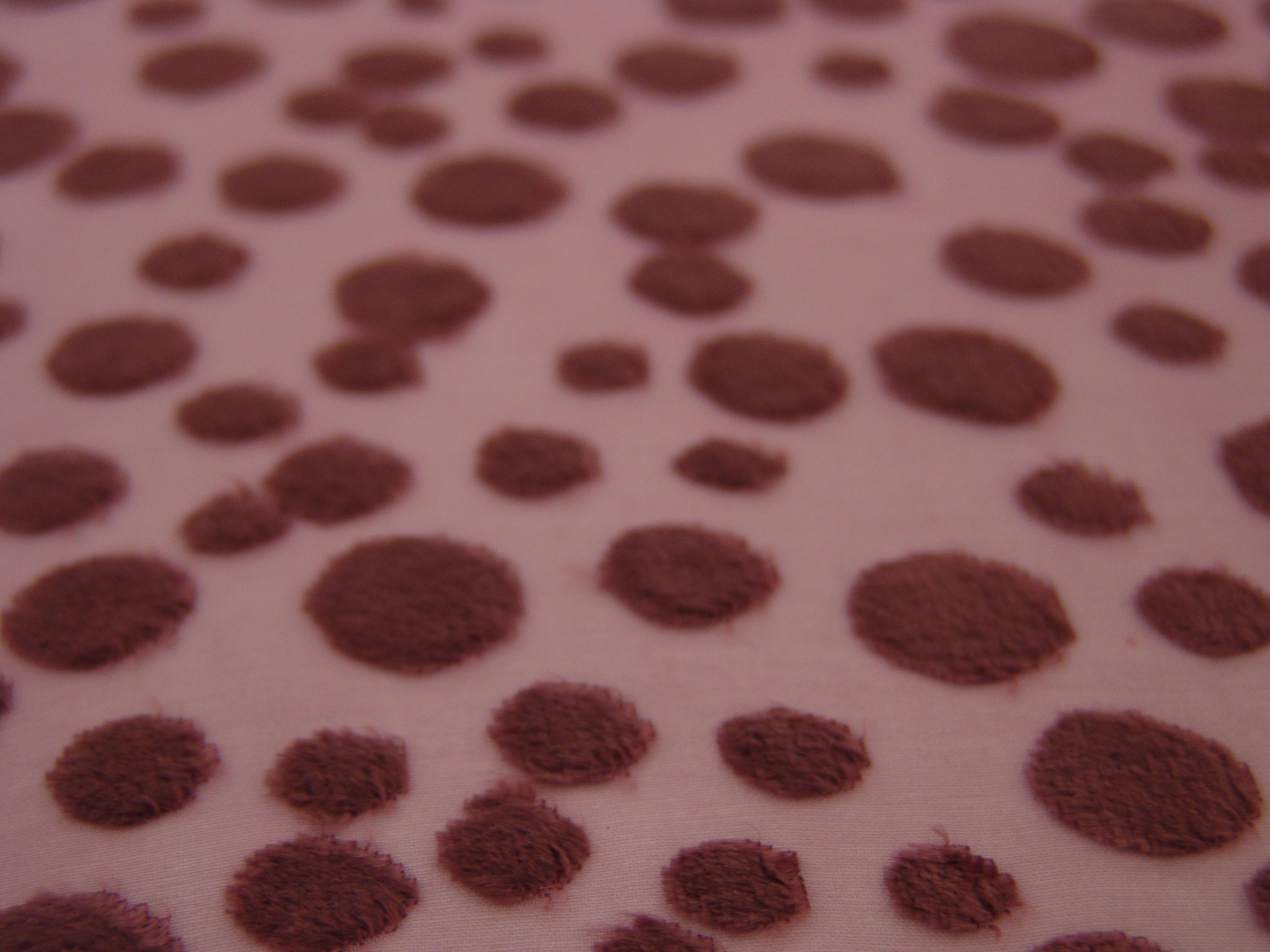 Silk Rayon Burn-Out Velvet1