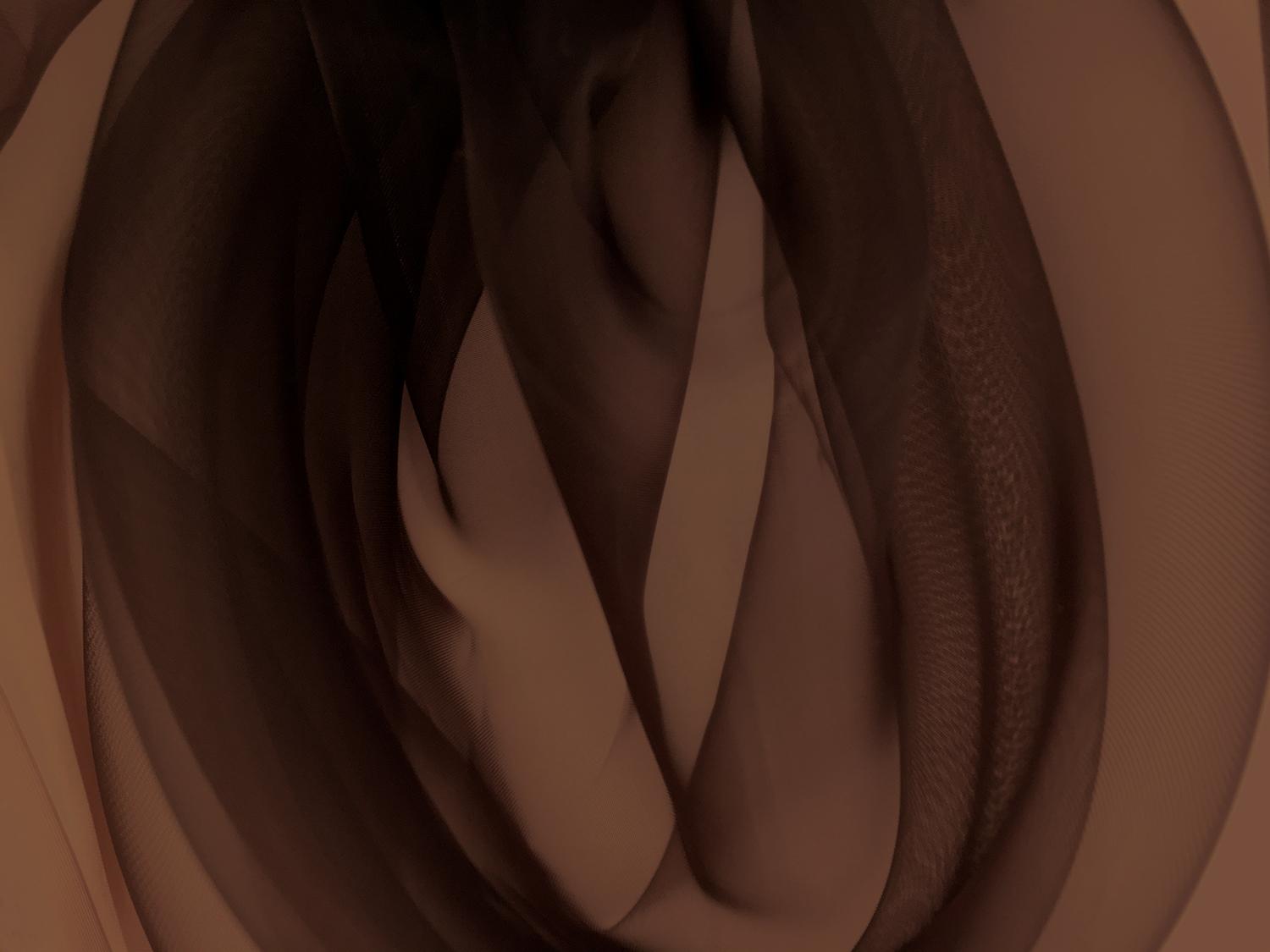 Japanese Polyester Extra Fine Organza in Brown0