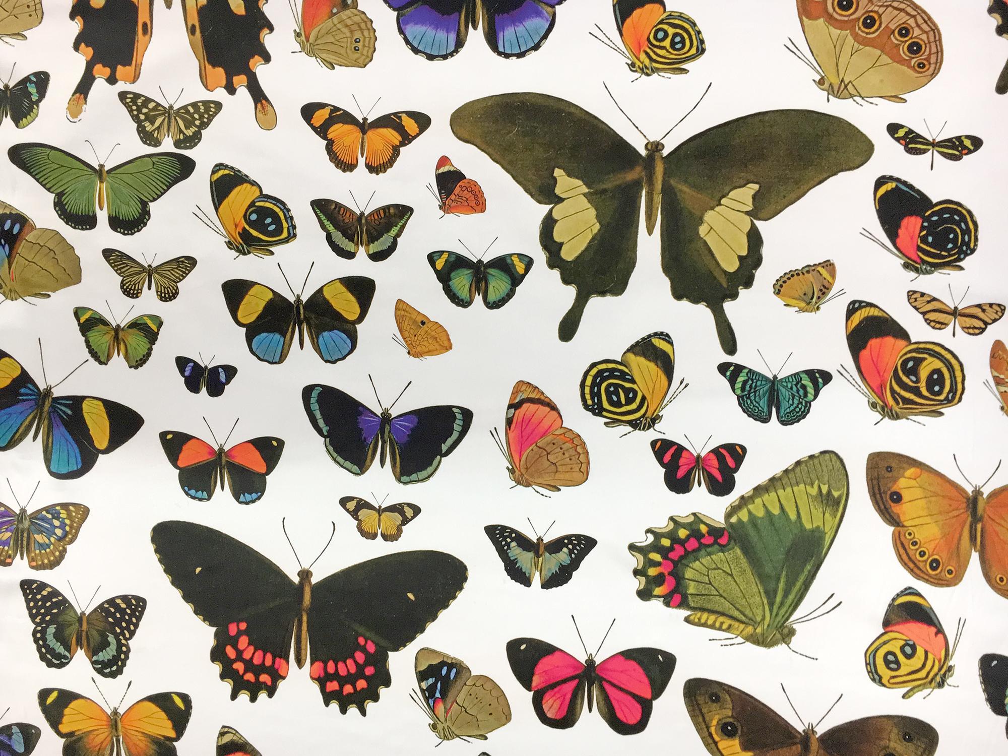 Printed Silk Charmeuse with Assorted Butterflies0