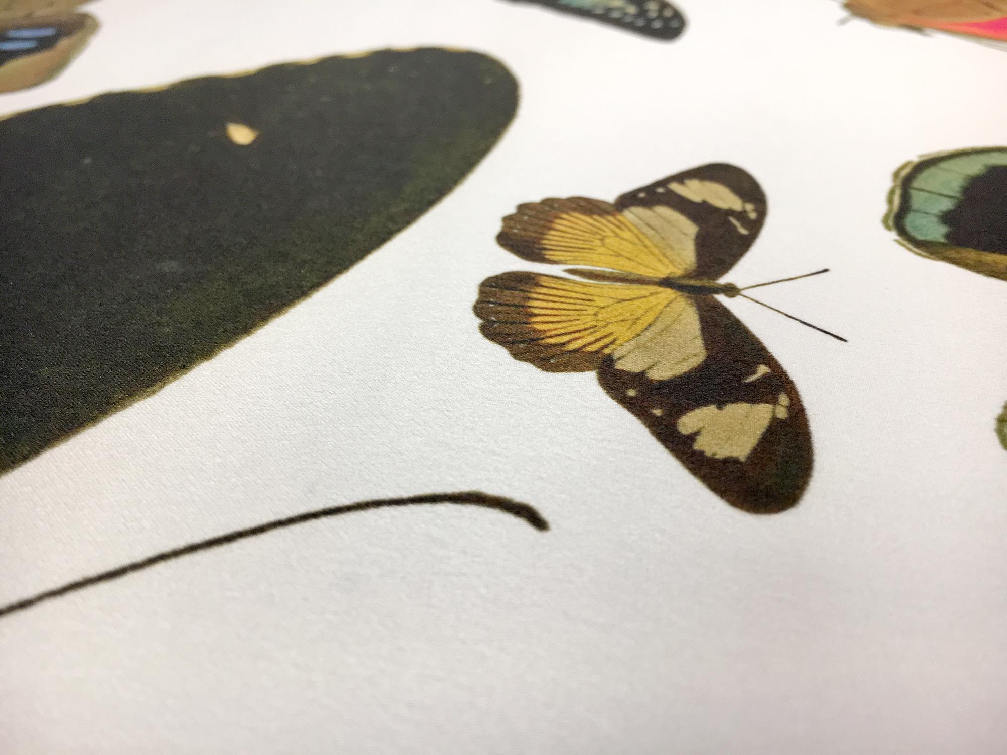 Printed Silk Charmeuse with Assorted Butterflies2