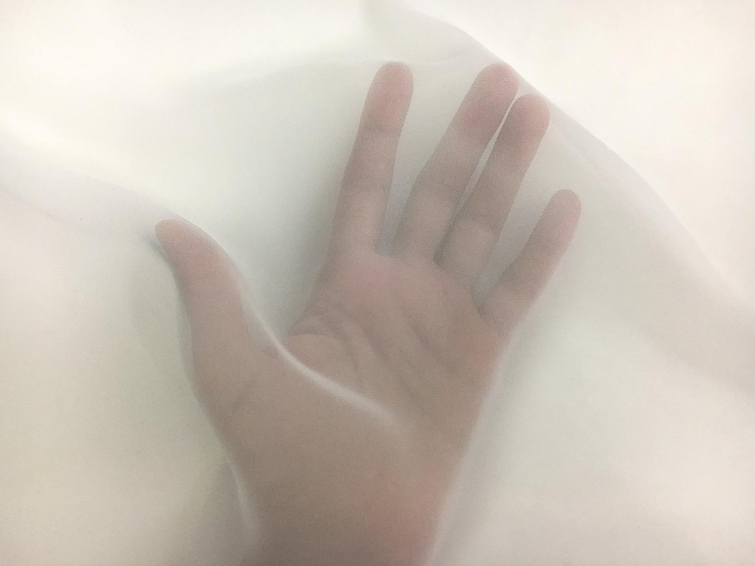 Japanese Polyester Chiffon in Off White2