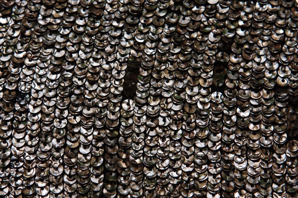 Sequins on Silk Chiffon2