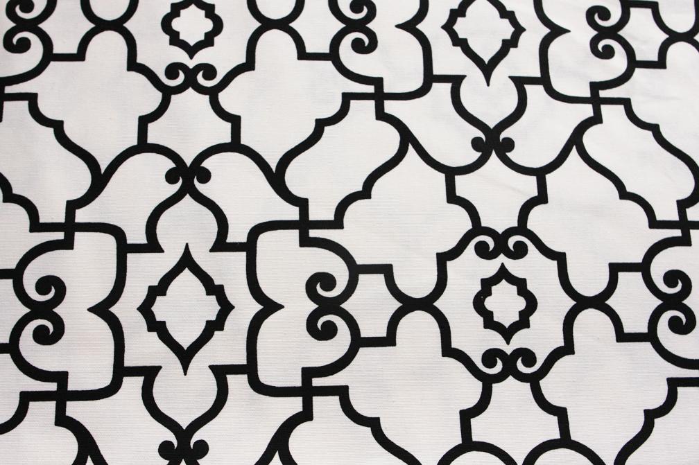 Printed Cotton Canvas0