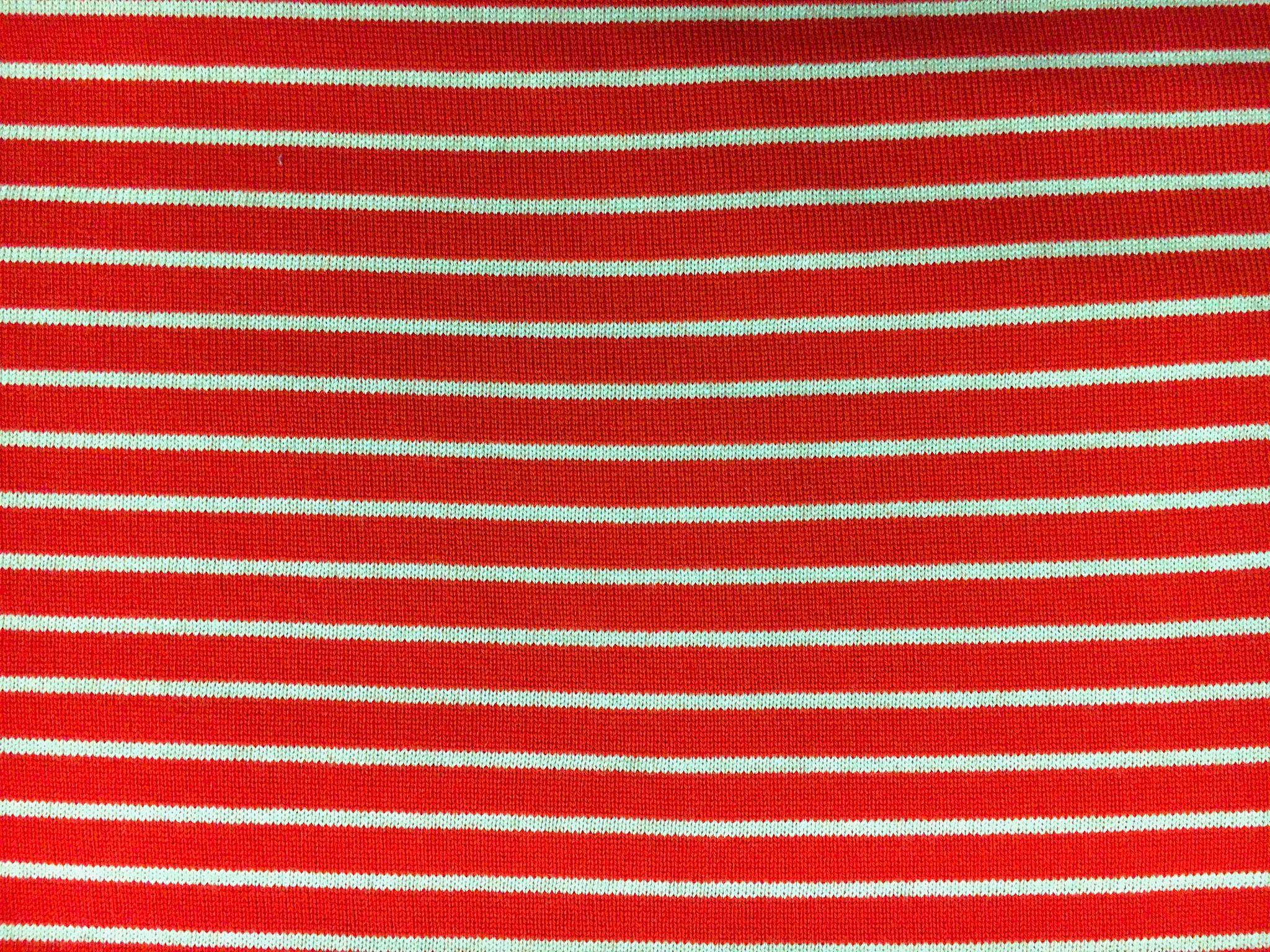 Virgin Wool Knit Stripe2