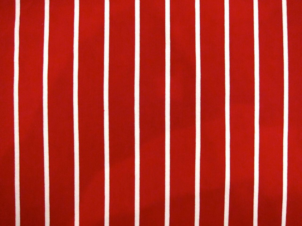 Bamboo Spandex Stripe Jersey0