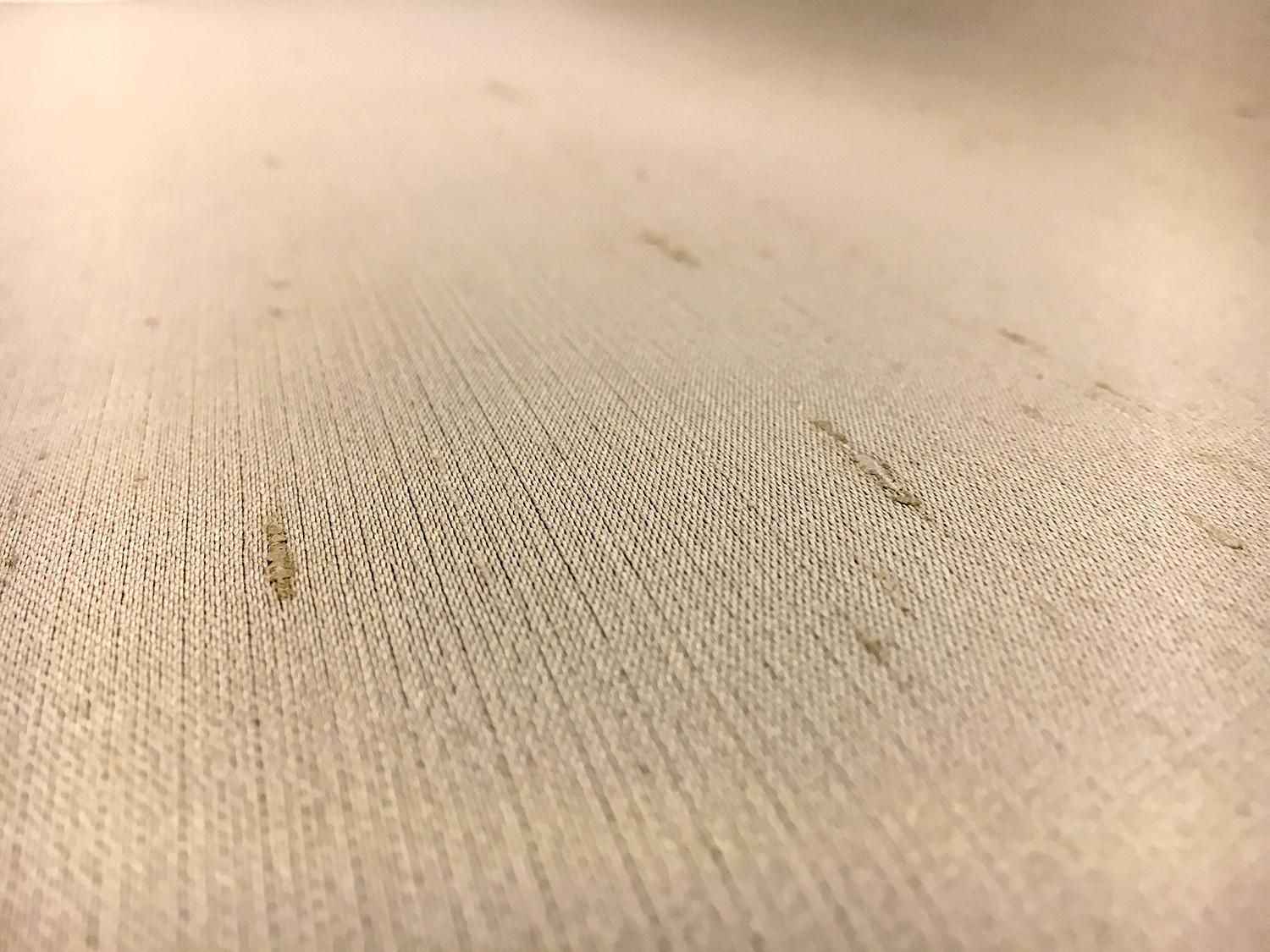 Novelty Couture Silk Gazar Shantung in Tan0