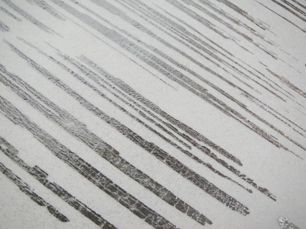 Polyester Viscose Foil Print Novelty2