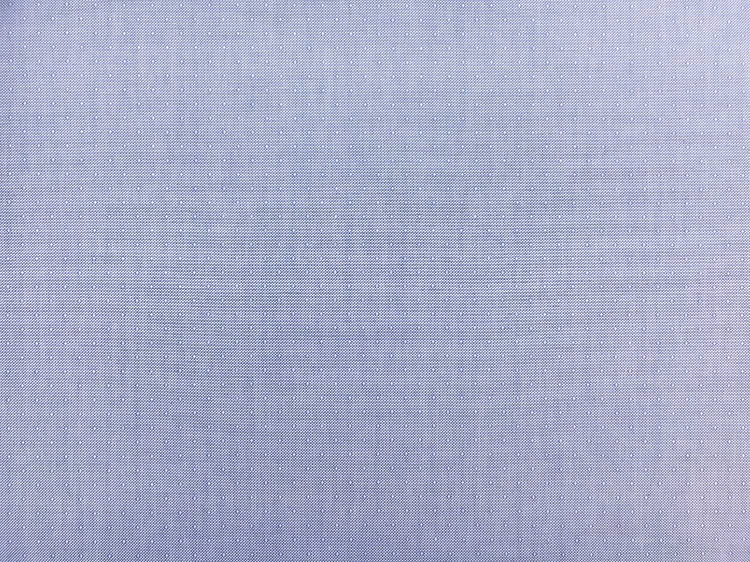 Cotton Oxford Dobby Shirting in Blue0