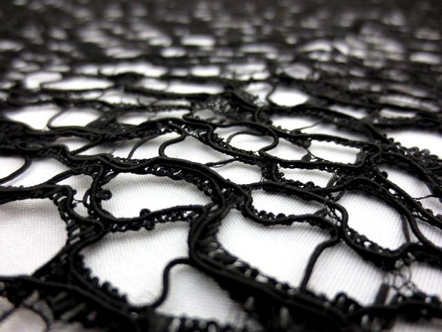 Corded Chantilly Lace2