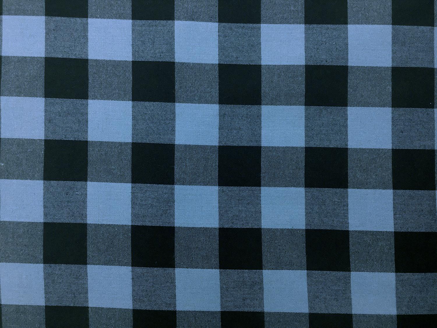 Carolina Cotton Gingham in Indigo0