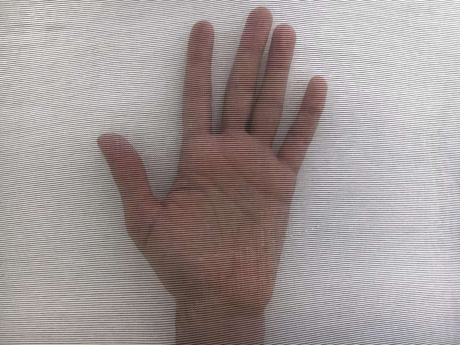 Italian Nylon Blend Mesh in Black Transparent2